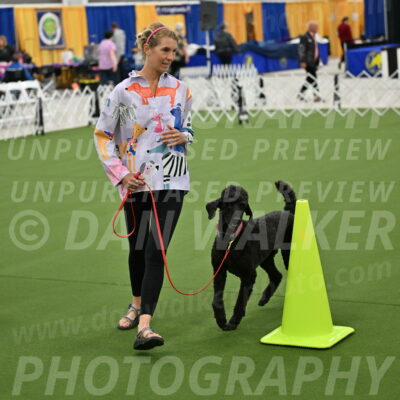 Ring-3-Morning-Obedience_0508