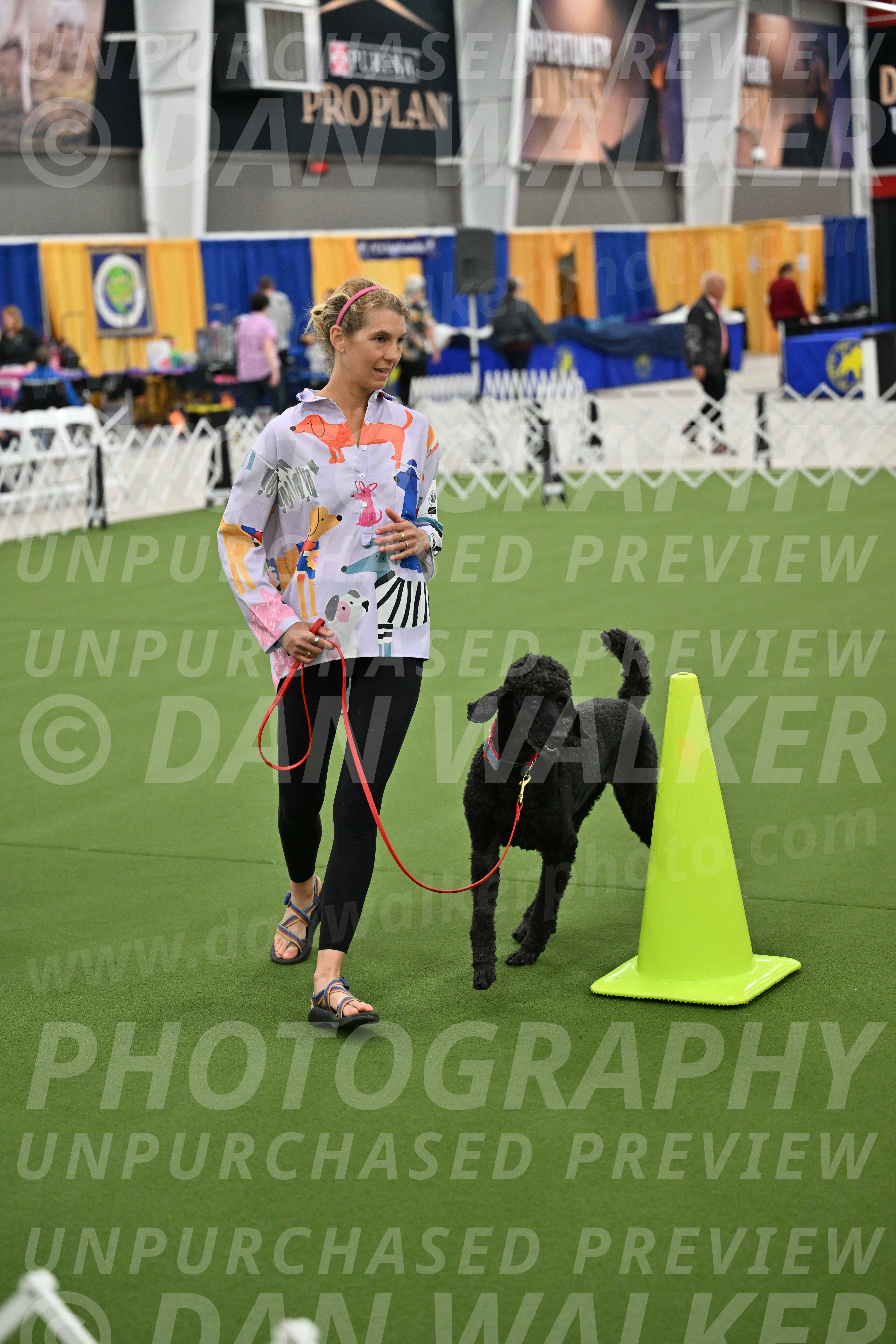 Ring-3-Morning-Obedience_0509