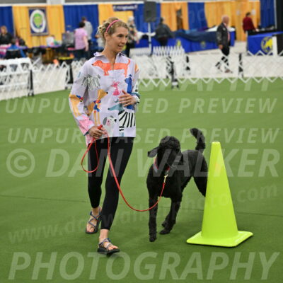 Ring-3-Morning-Obedience_0509