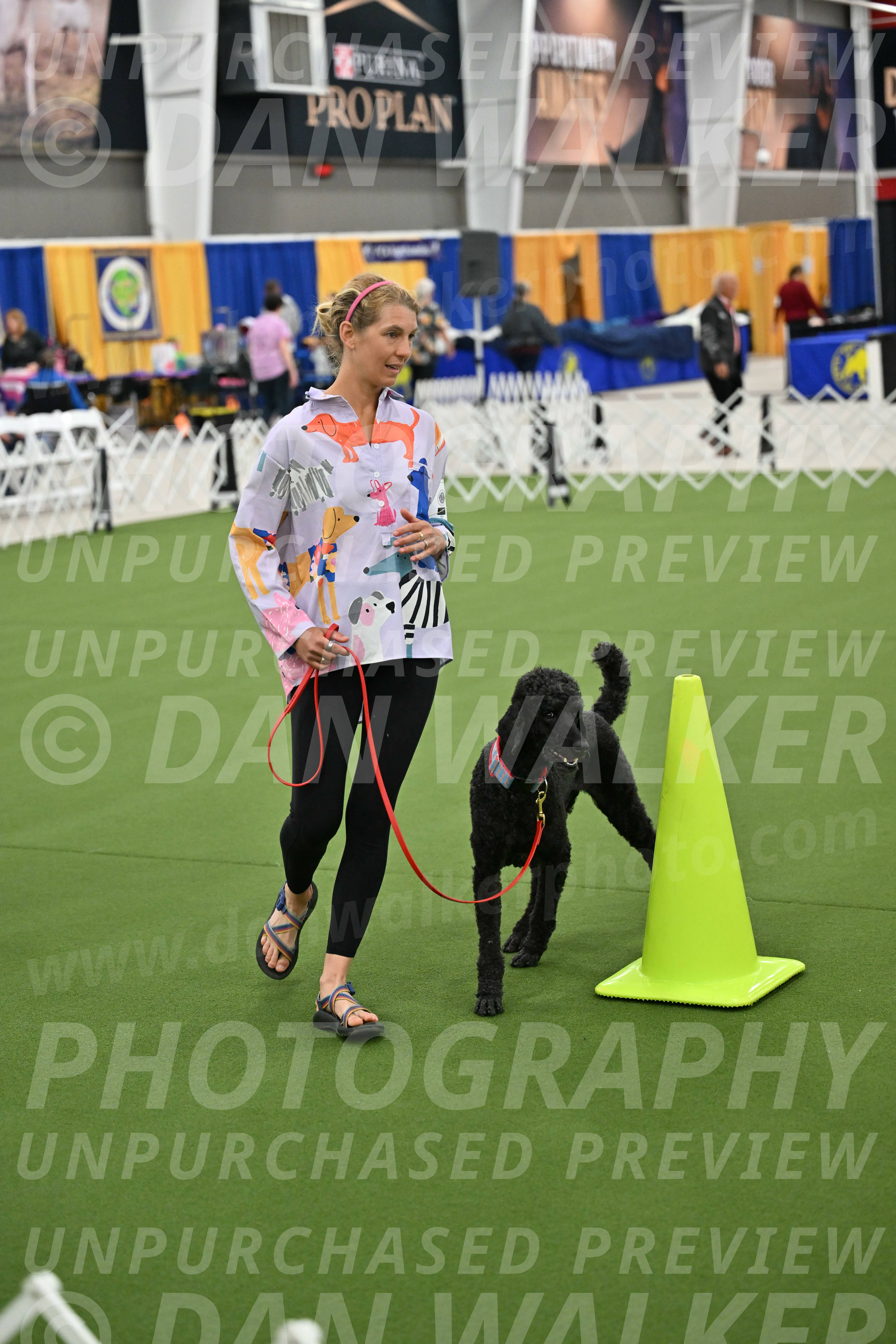 Ring-3-Morning-Obedience_0510