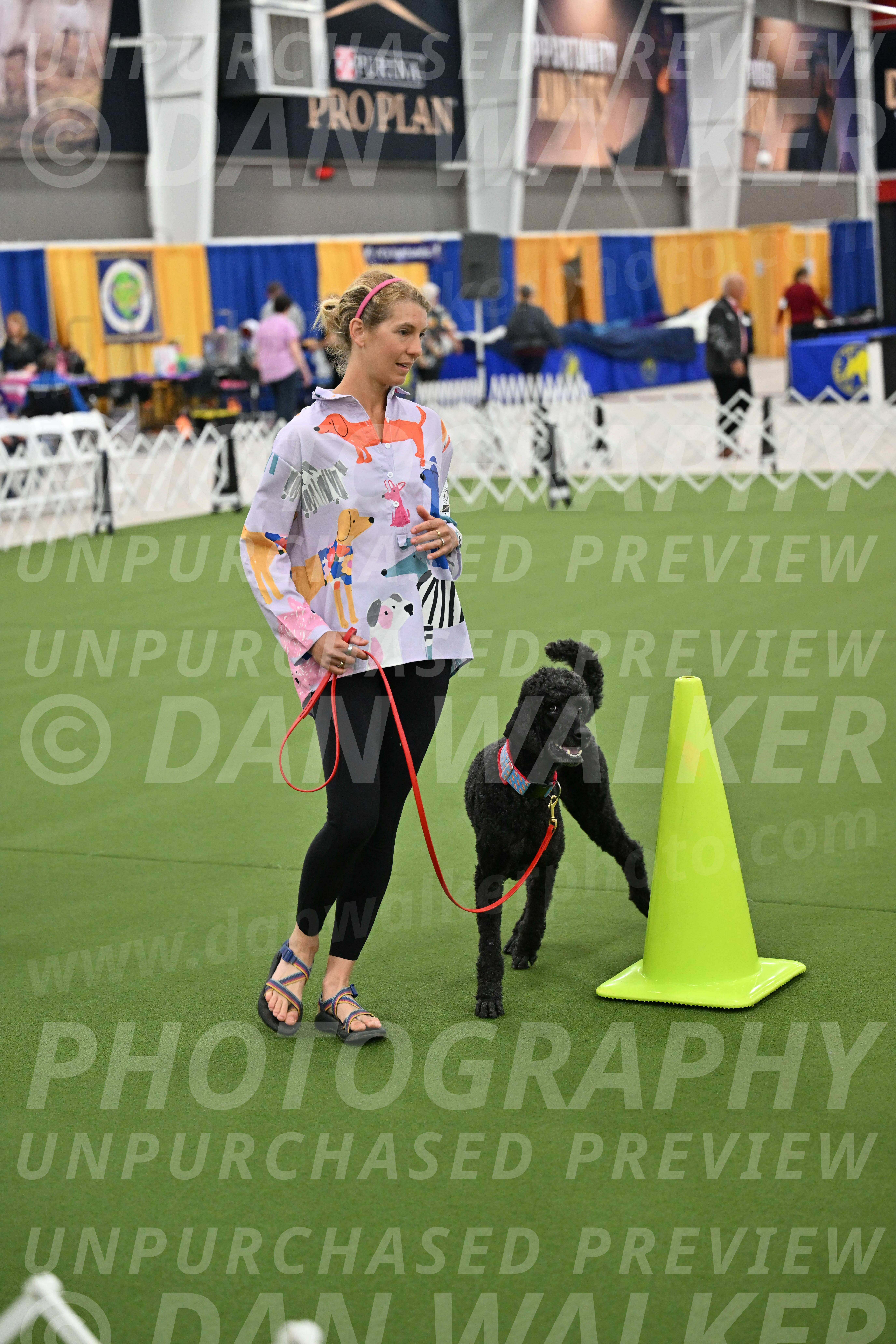 Ring-3-Morning-Obedience_0511