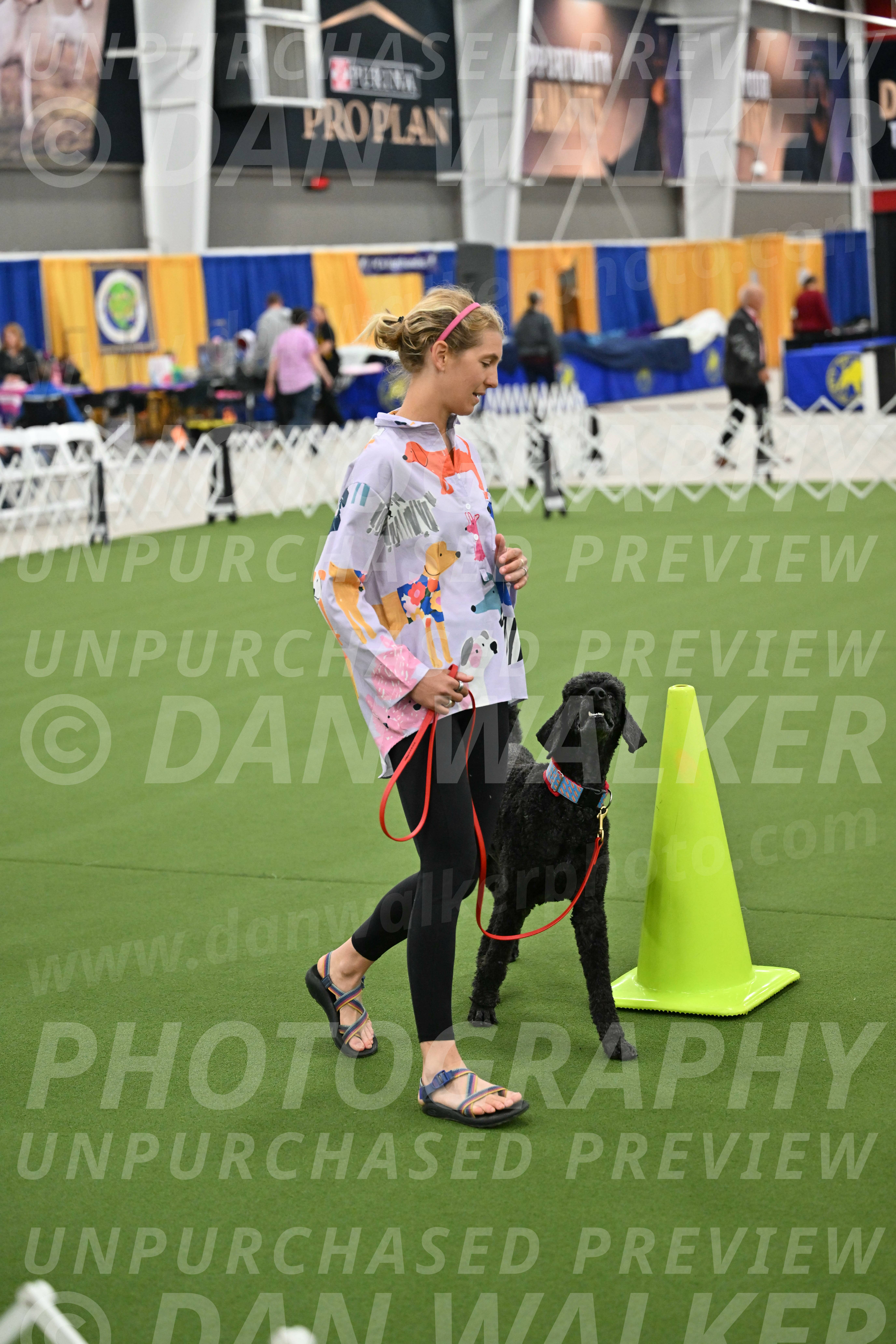 Ring-3-Morning-Obedience_0514