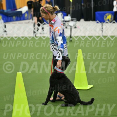 Ring-3-Morning-Obedience_0519