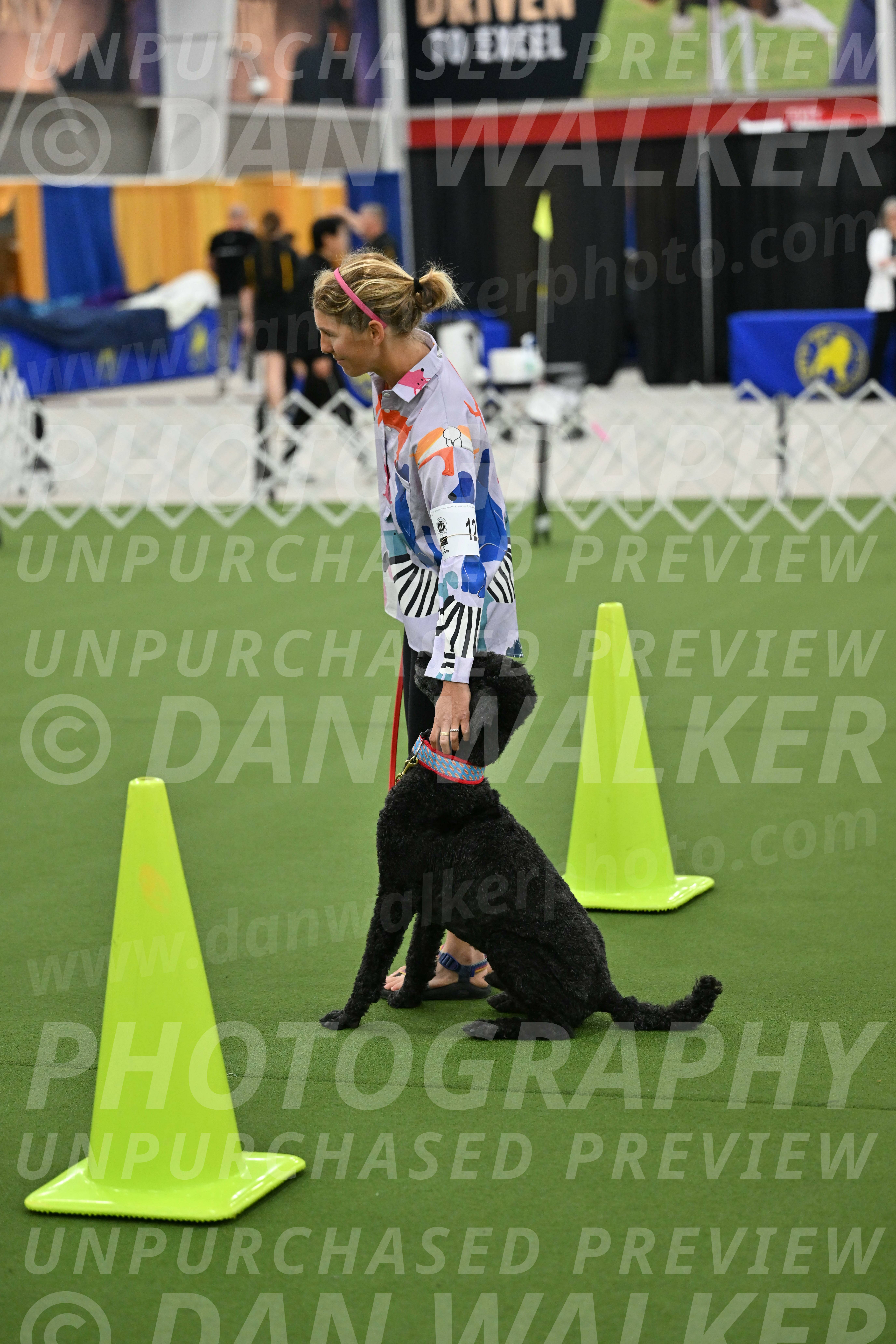 Ring-3-Morning-Obedience_0520