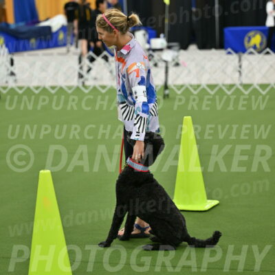 Ring-3-Morning-Obedience_0520