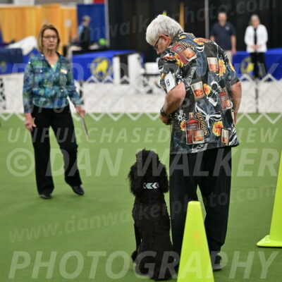 Ring-3-Morning-Obedience_0654