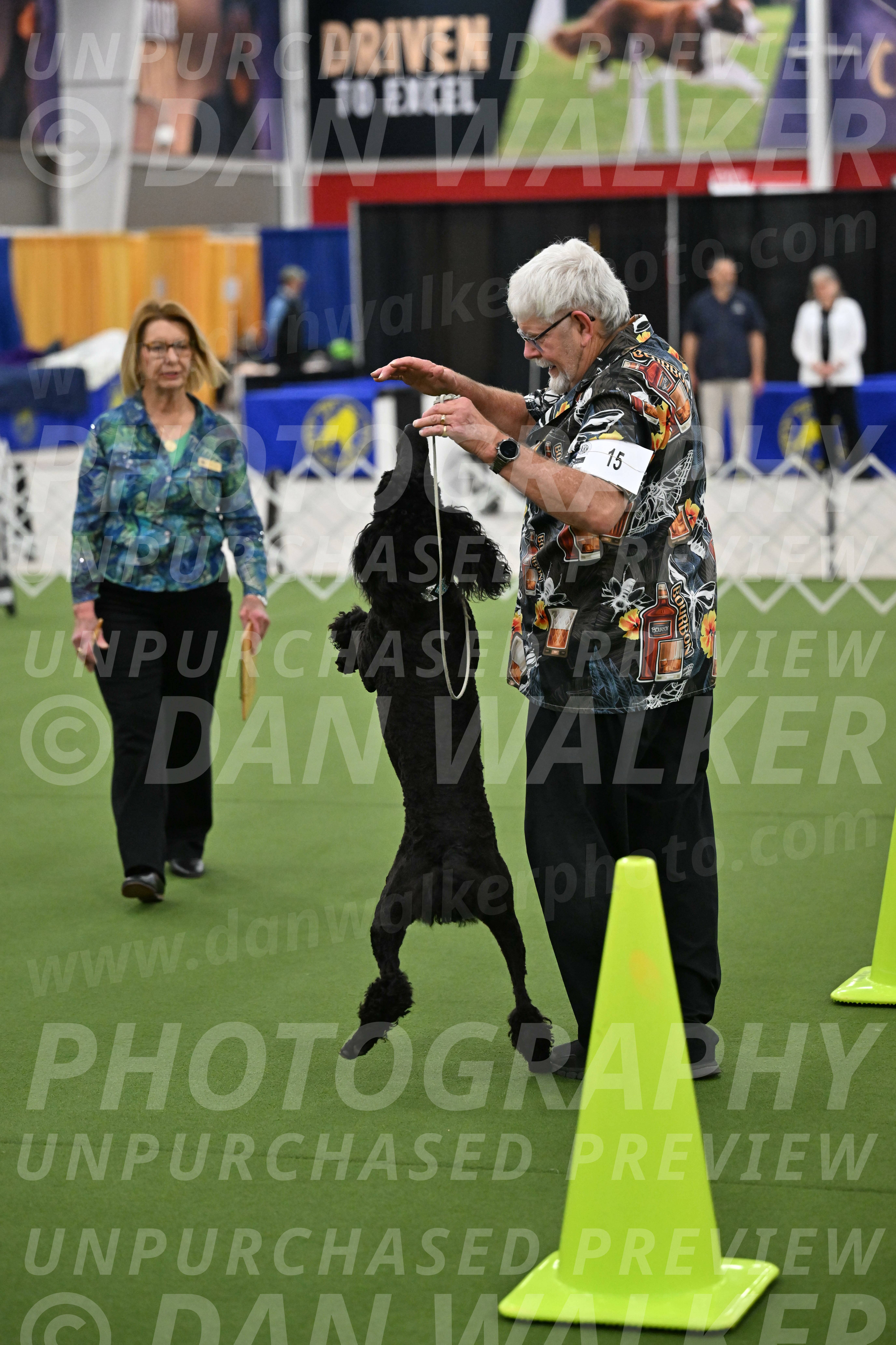 Ring-3-Morning-Obedience_0656