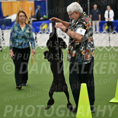 Ring-3-Morning-Obedience_0656