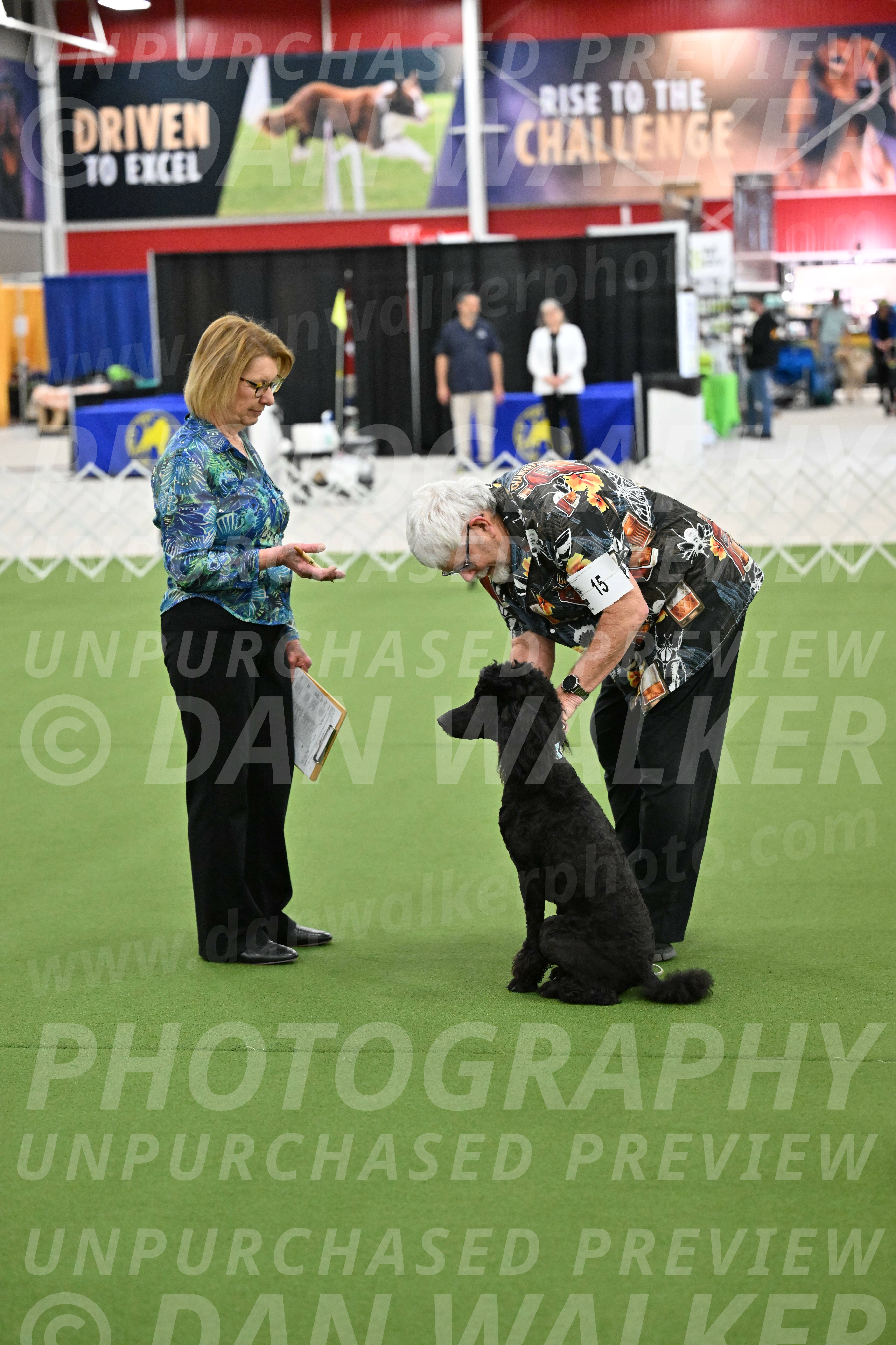 Ring-3-Morning-Obedience_0658