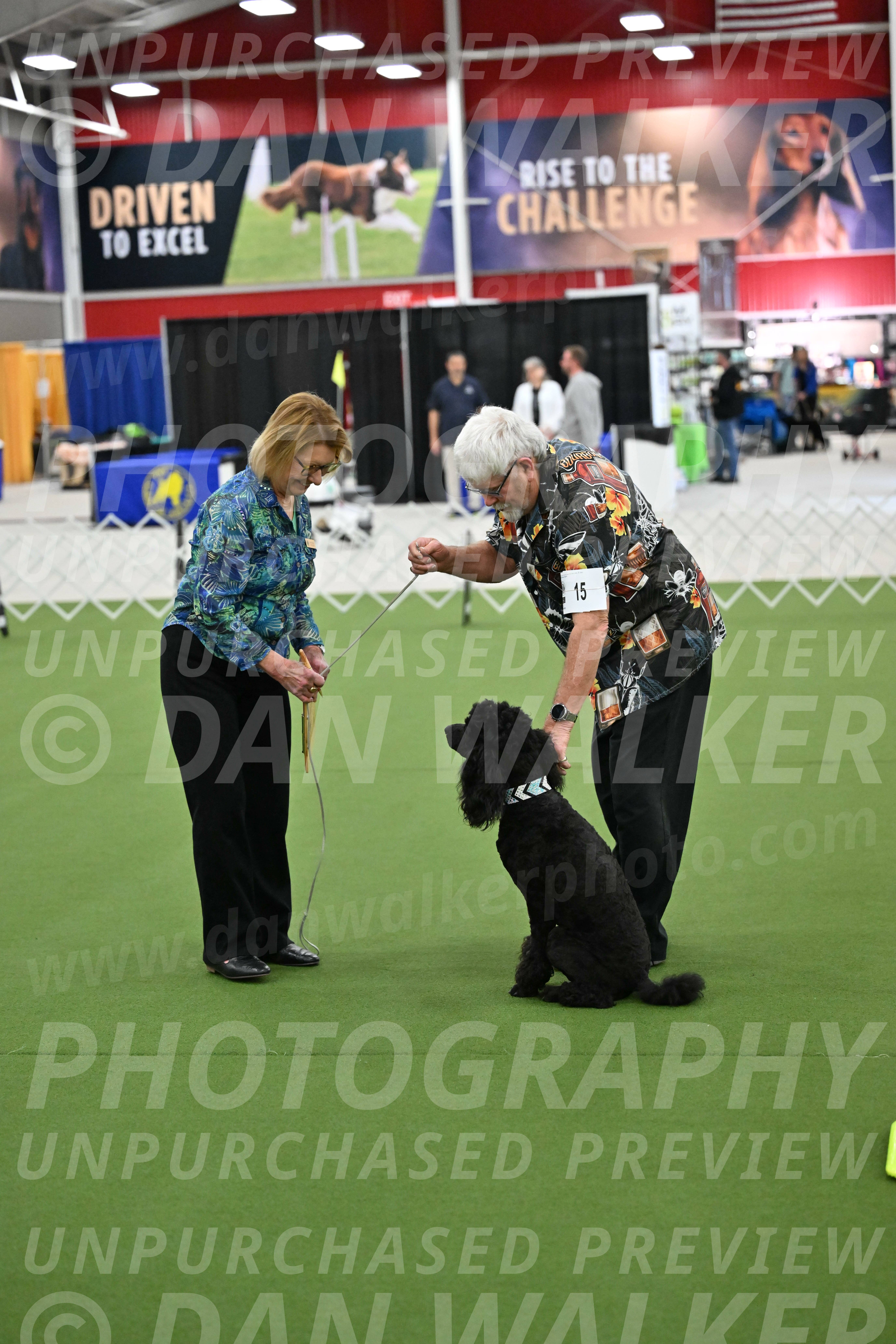 Ring-3-Morning-Obedience_0661