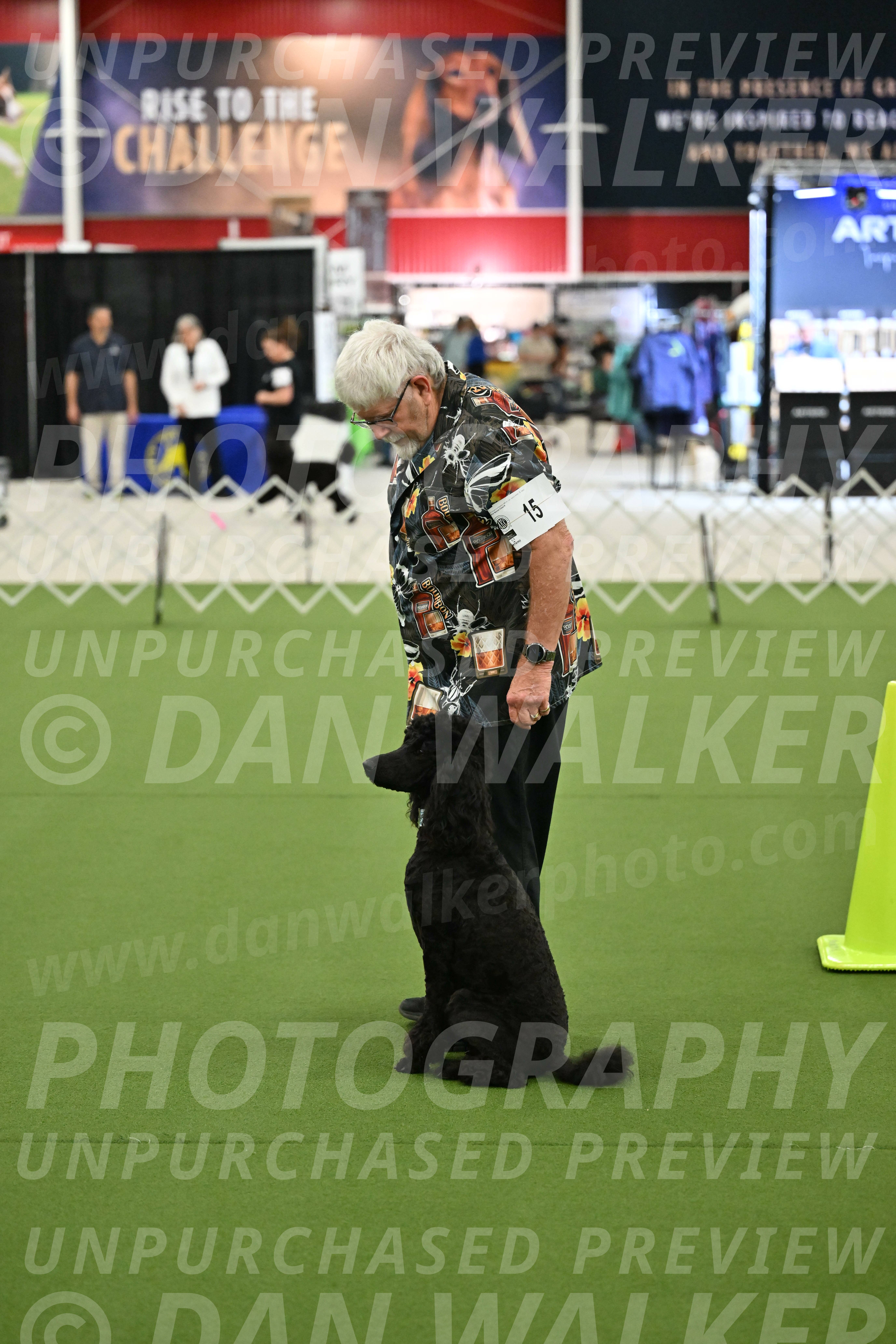 Ring-3-Morning-Obedience_0663