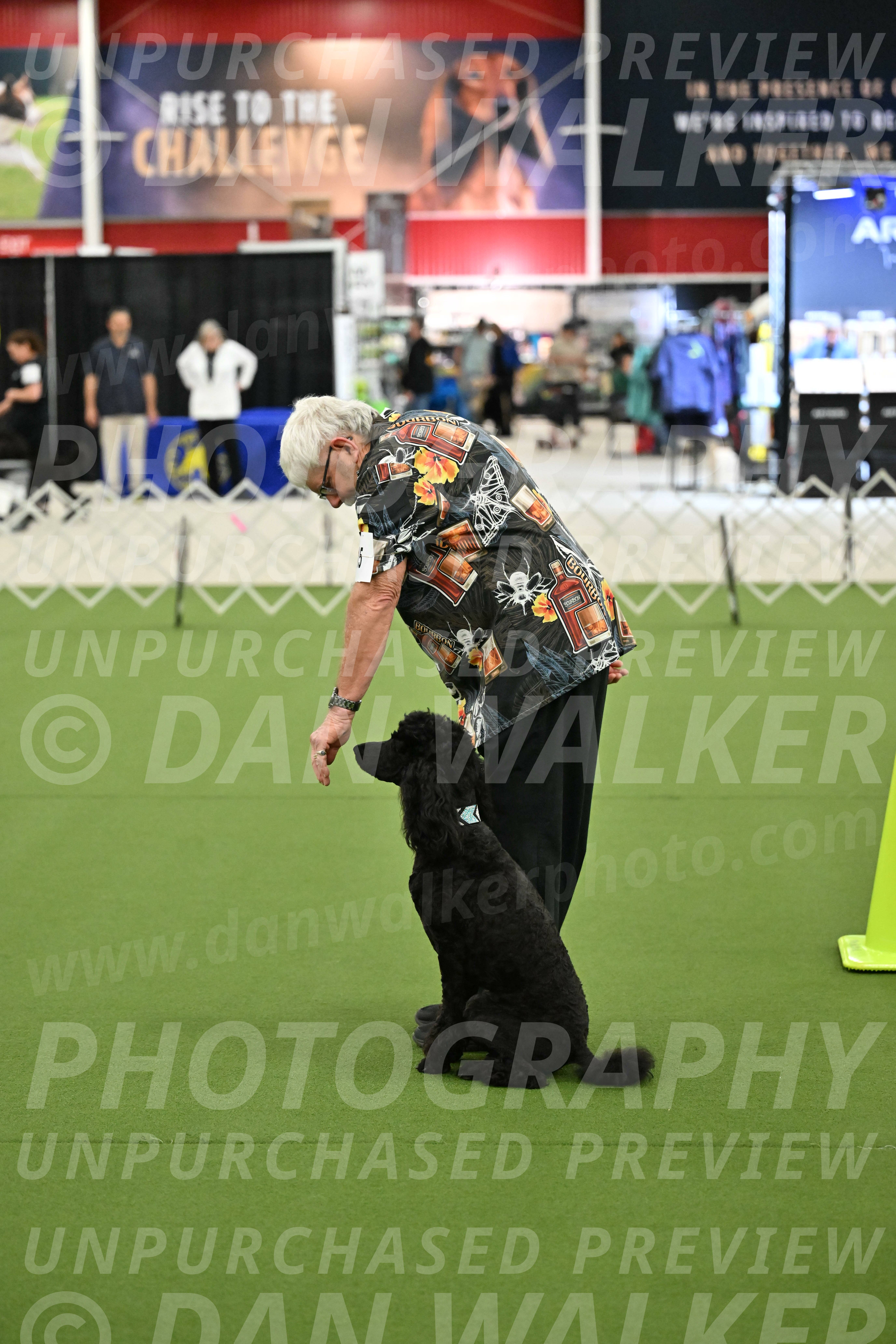 Ring-3-Morning-Obedience_0665