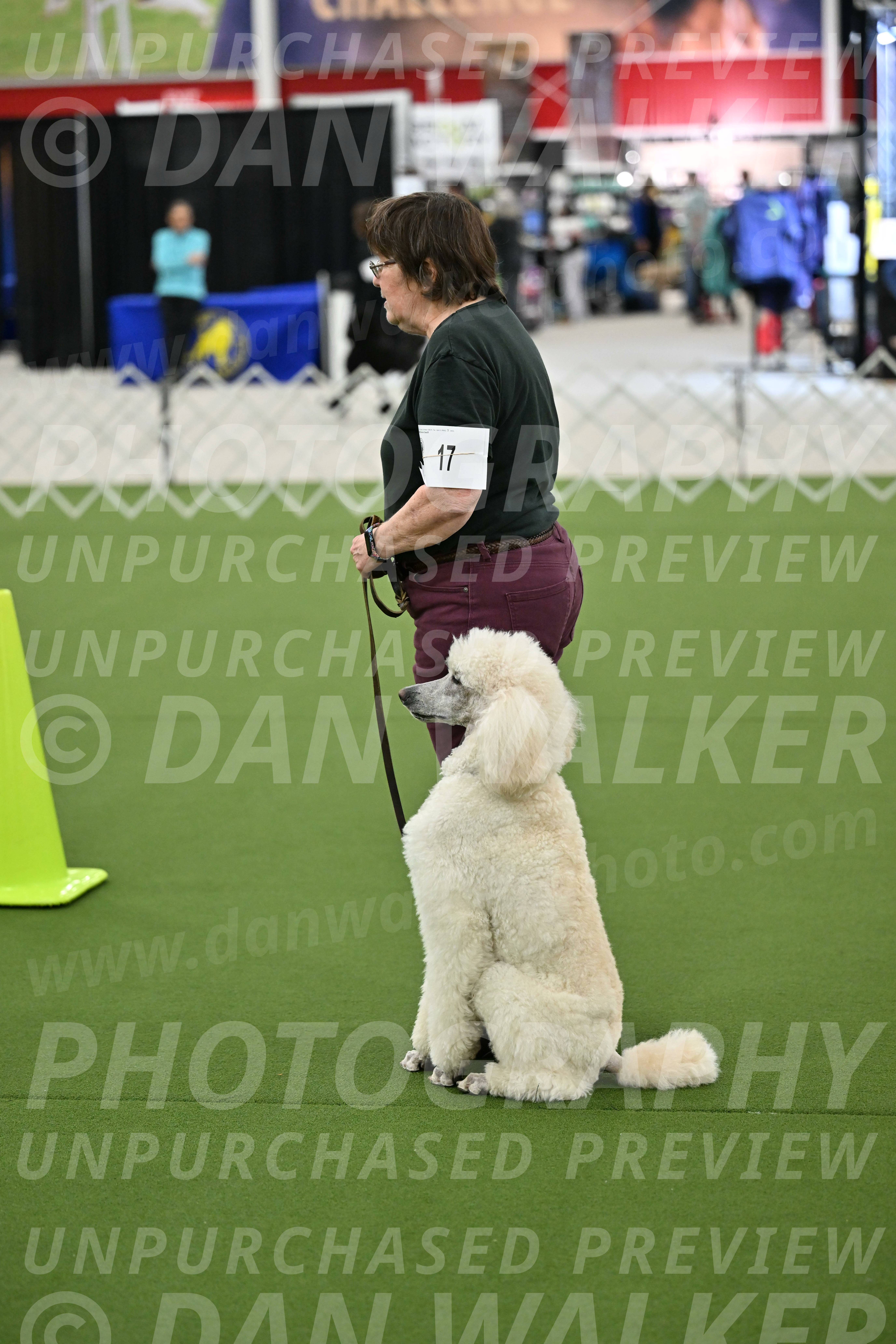 Ring-3-Morning-Obedience_0753