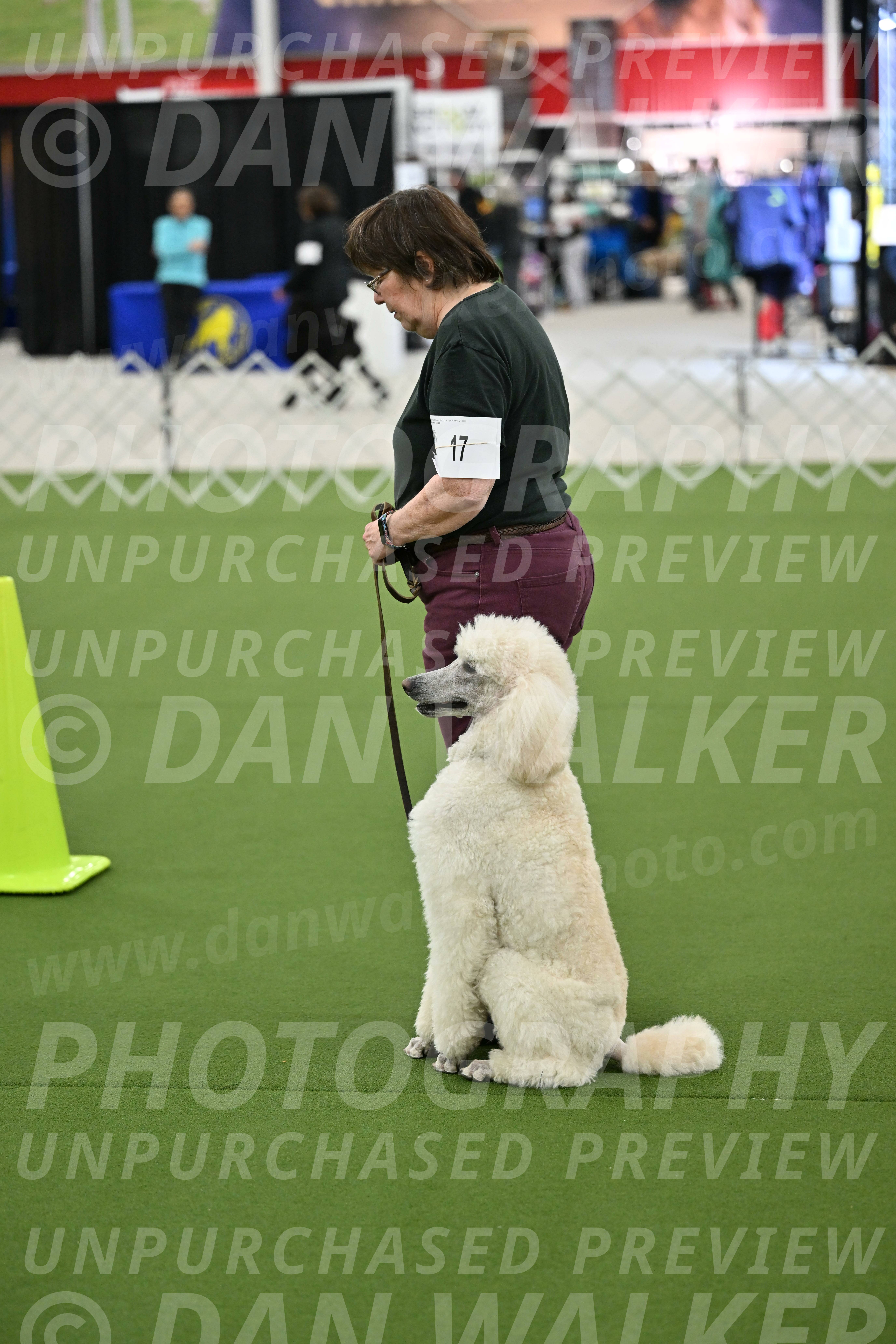 Ring-3-Morning-Obedience_0755