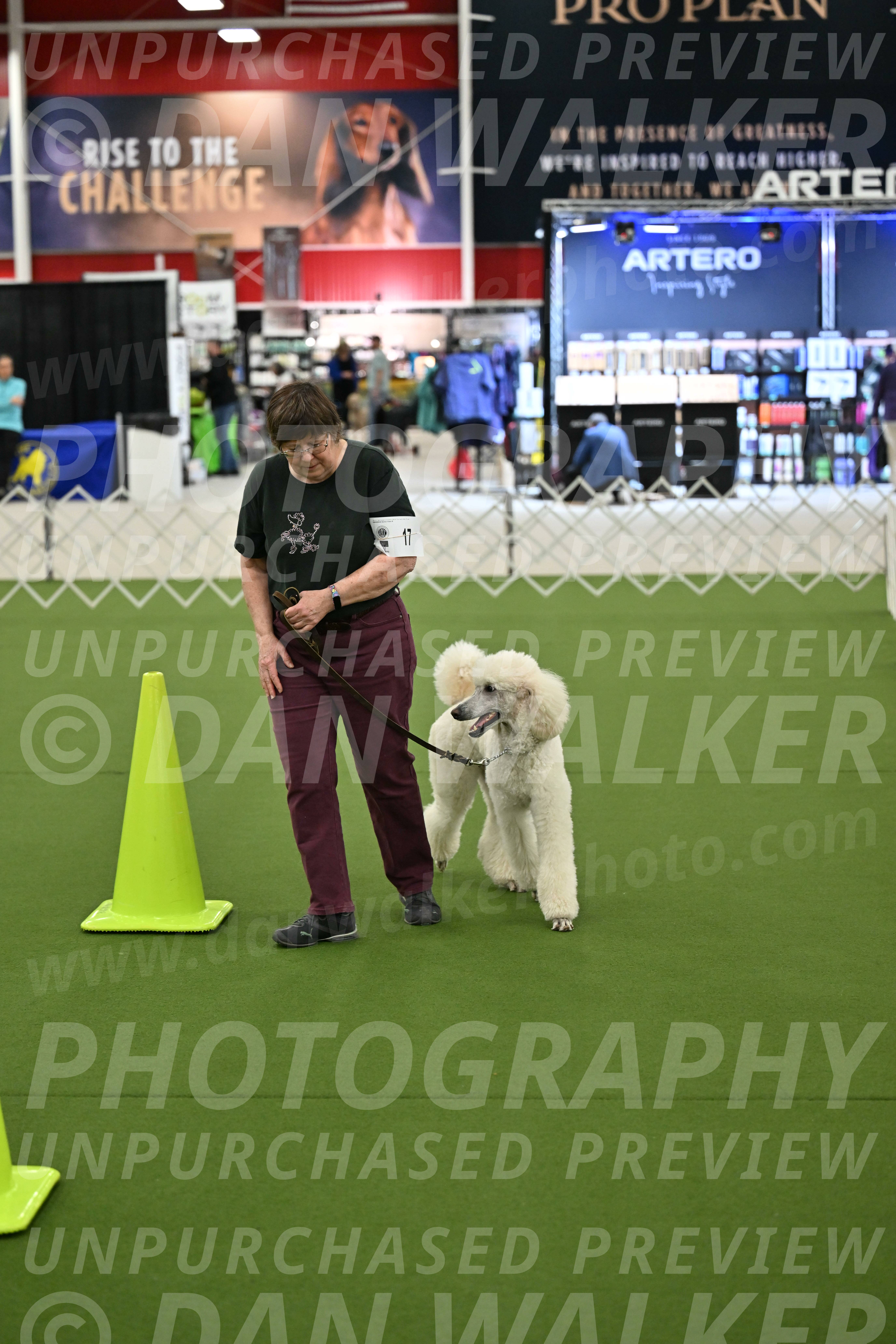 Ring-3-Morning-Obedience_0757