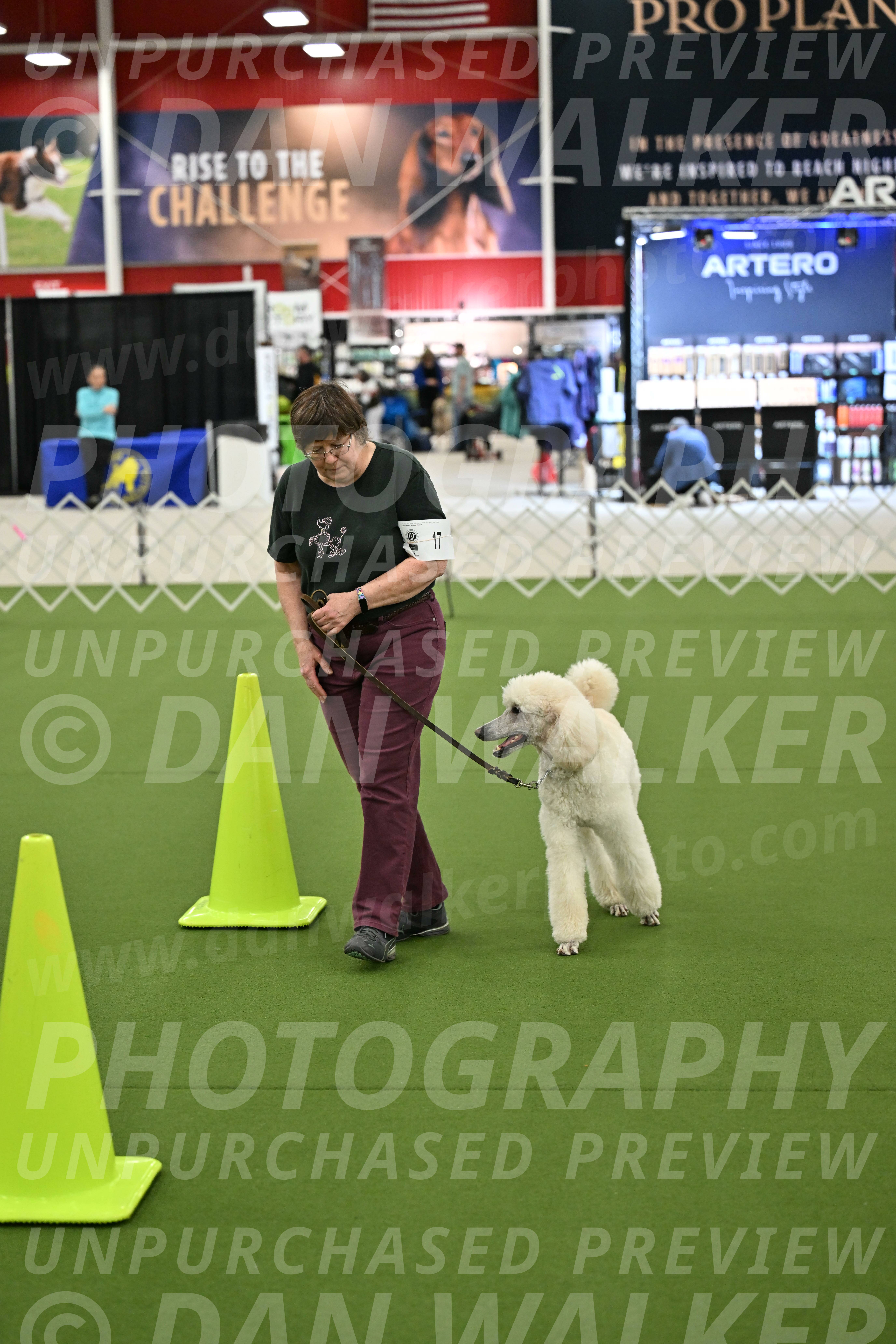 Ring-3-Morning-Obedience_0759