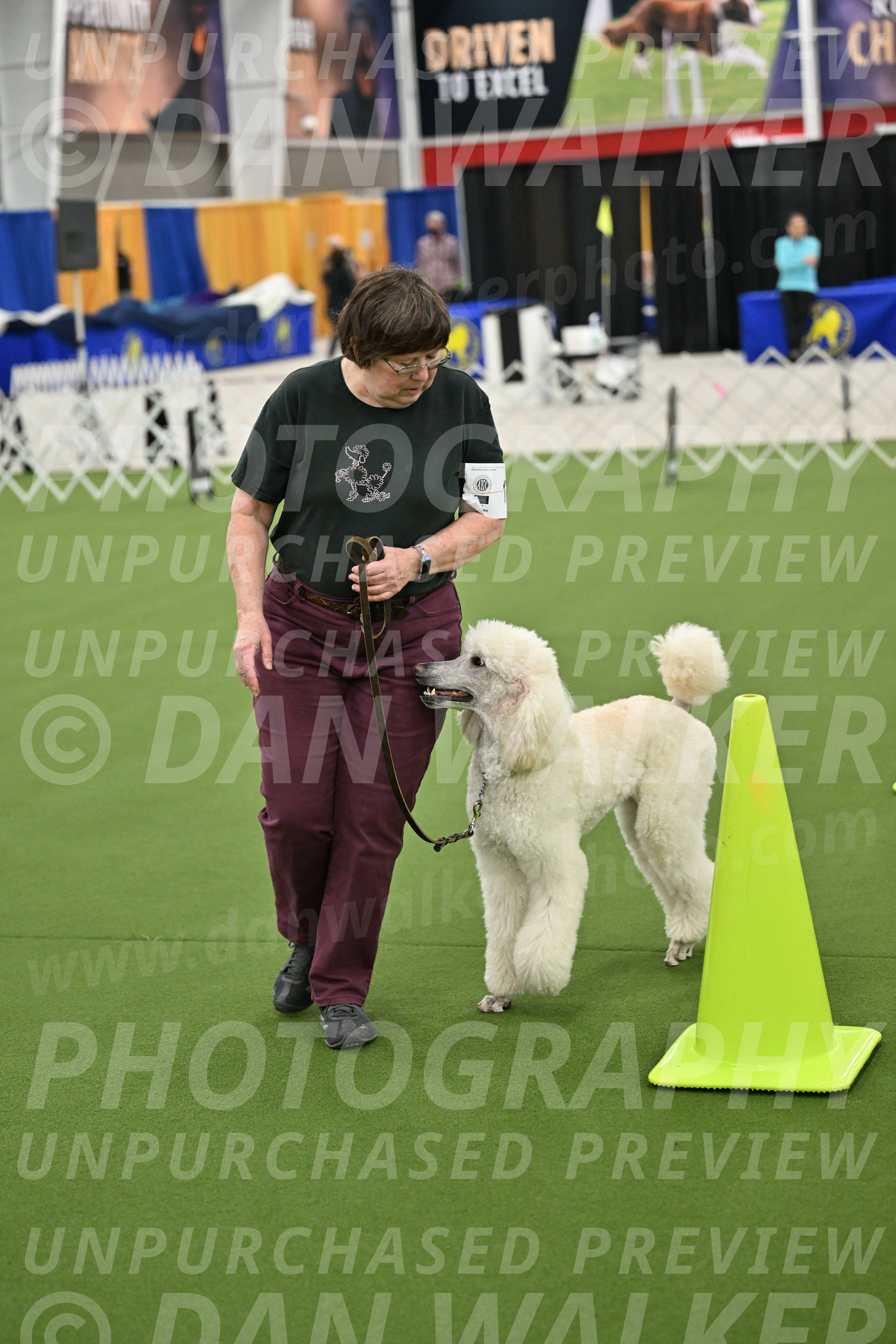 Ring-3-Morning-Obedience_0760