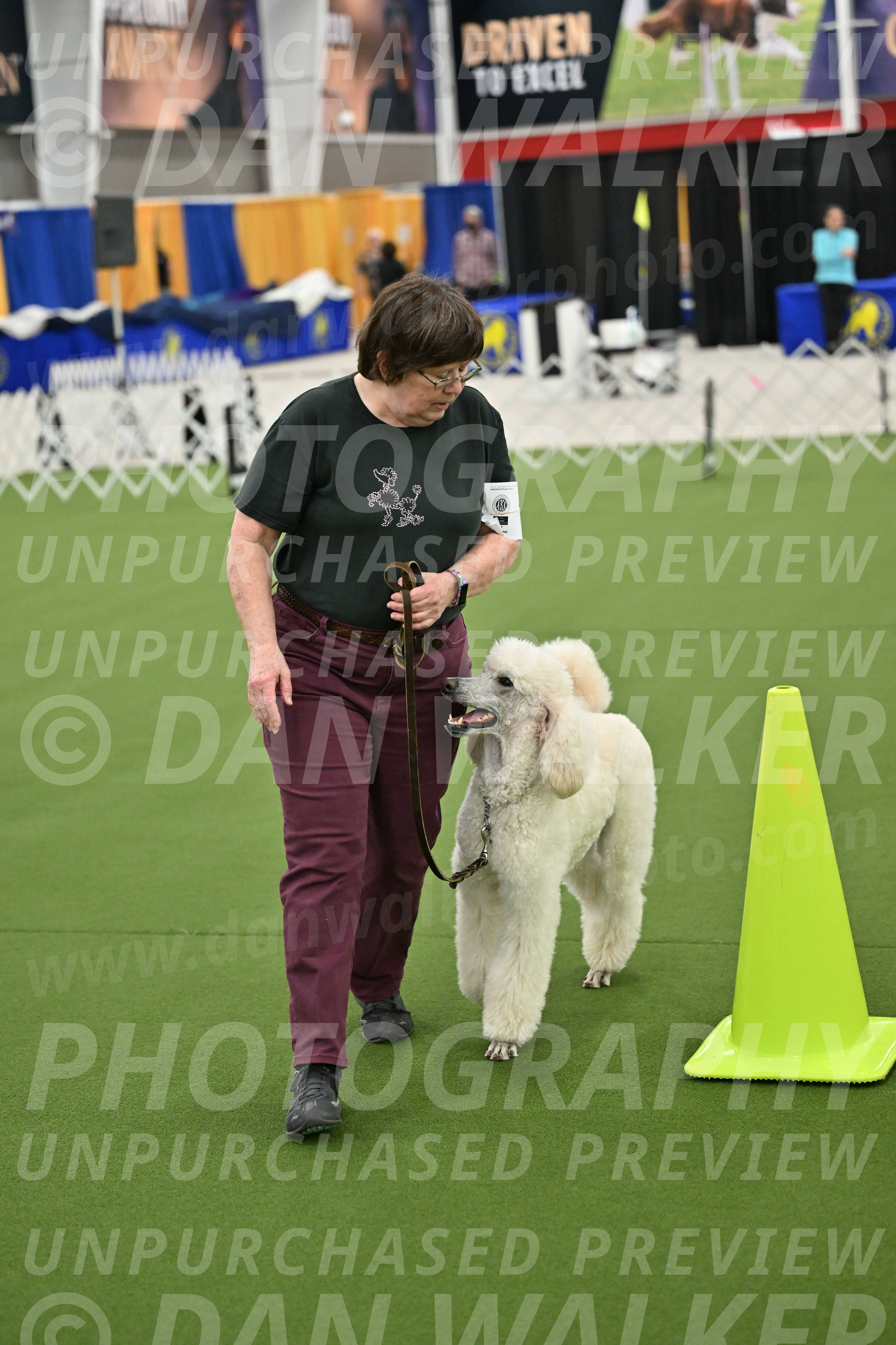 Ring-3-Morning-Obedience_0762