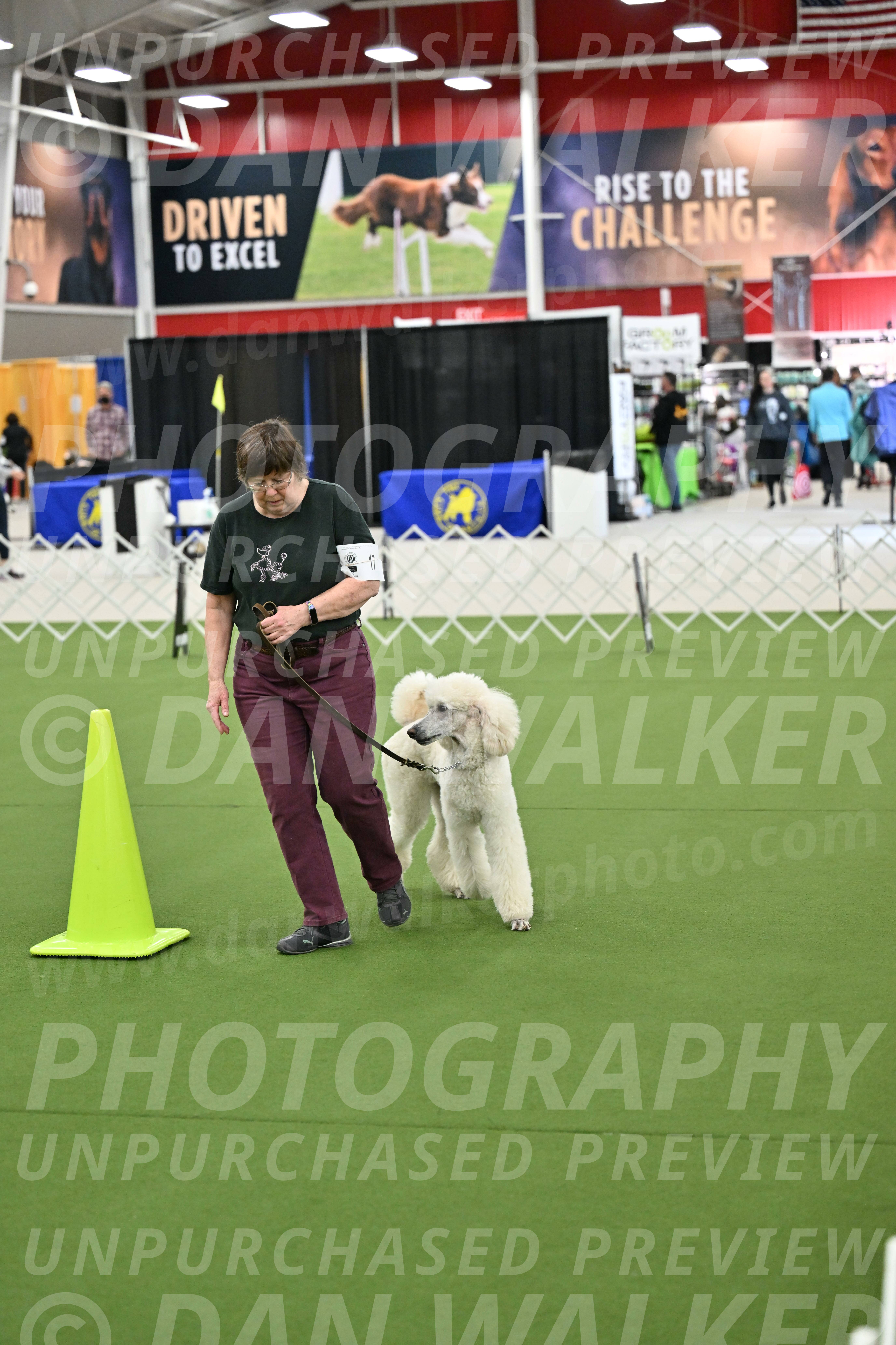 Ring-3-Morning-Obedience_0763