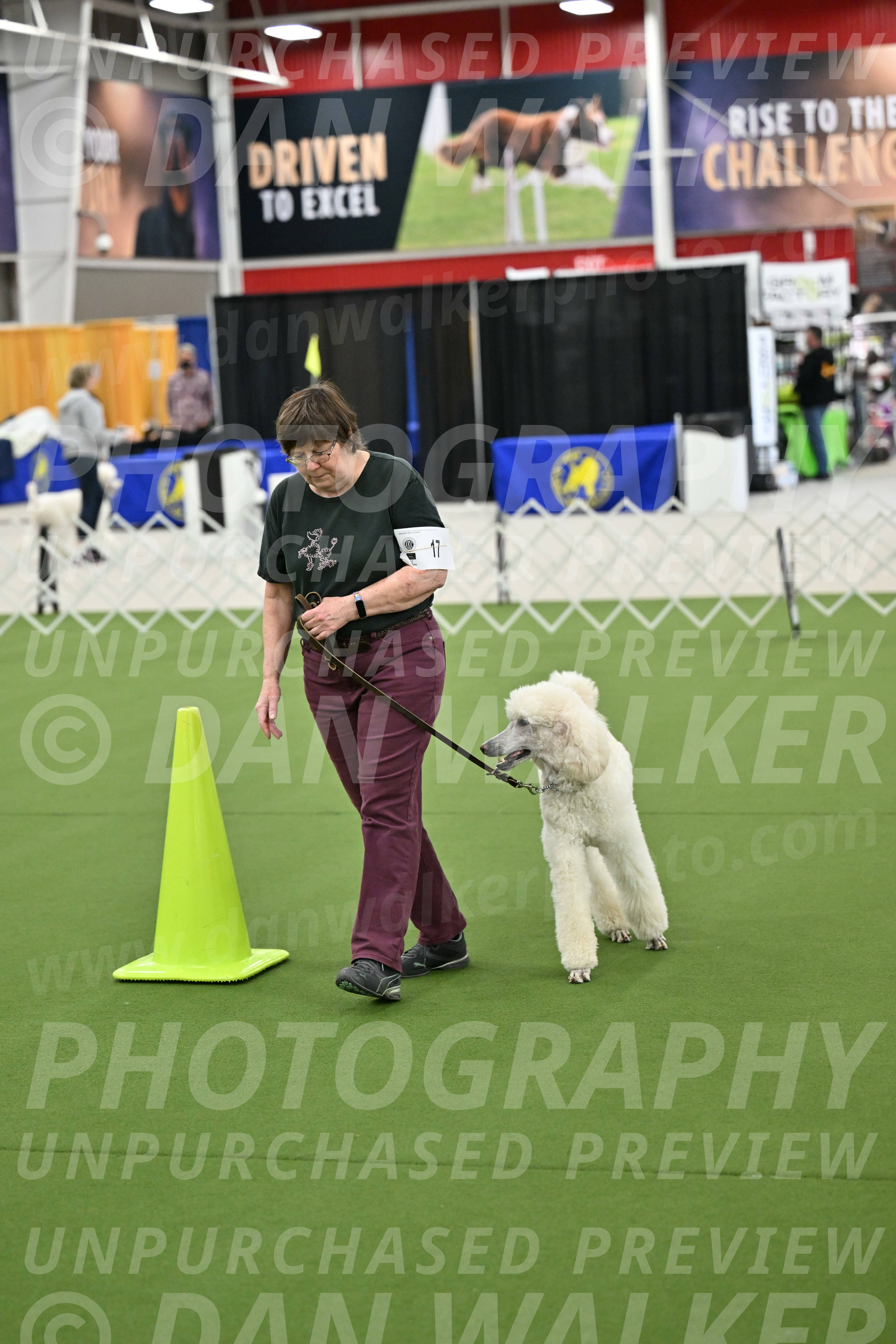 Ring-3-Morning-Obedience_0766