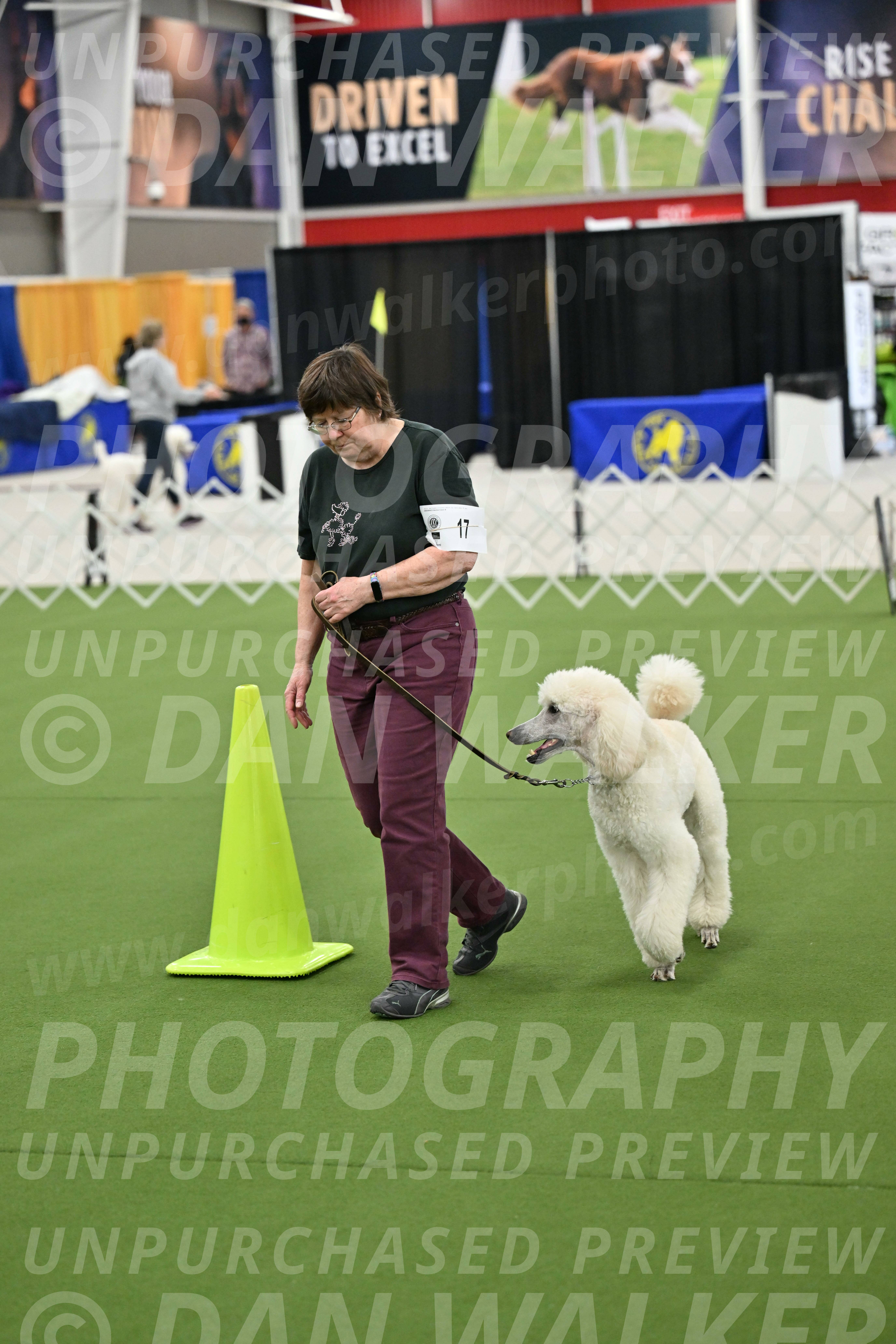 Ring-3-Morning-Obedience_0768