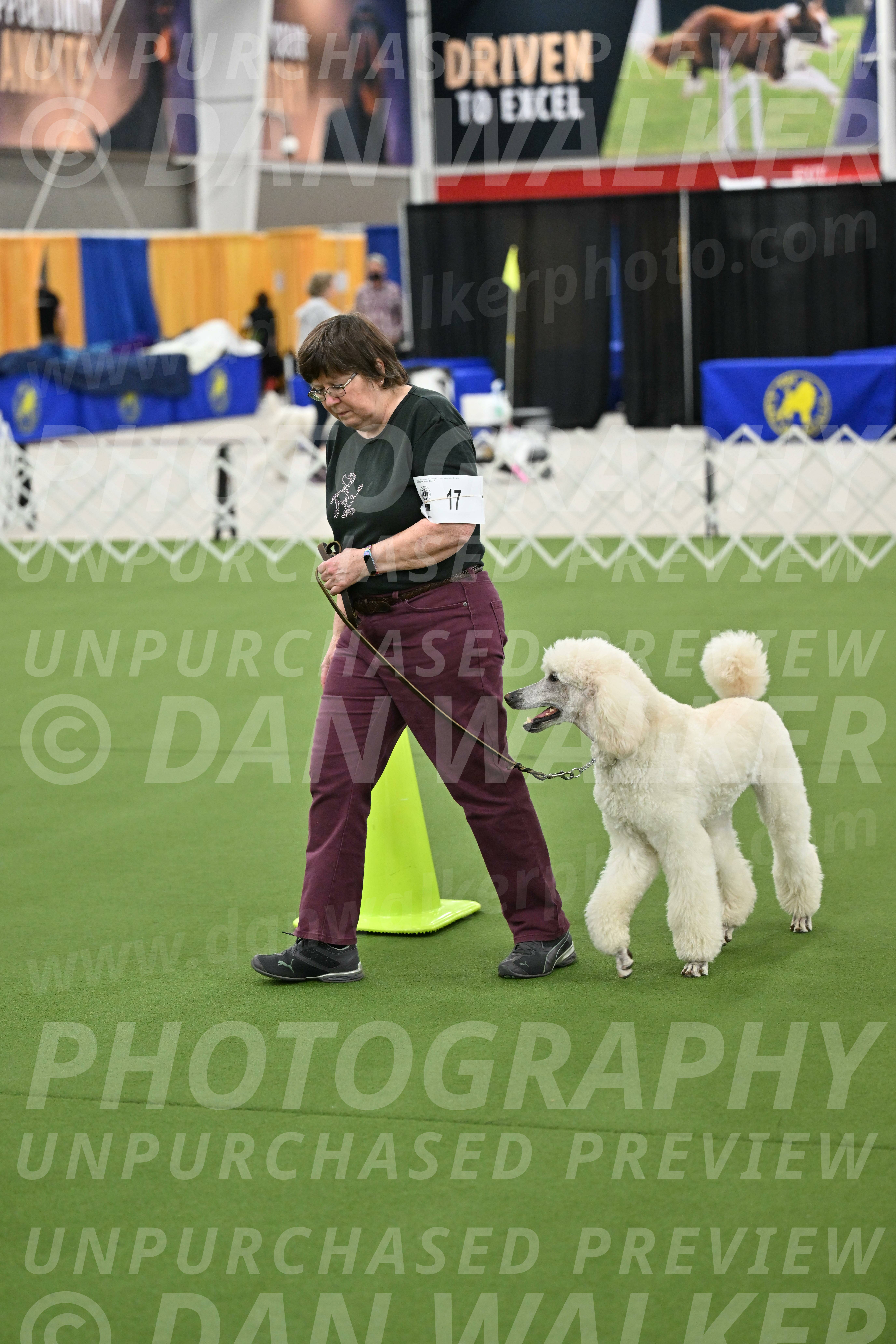 Ring-3-Morning-Obedience_0769