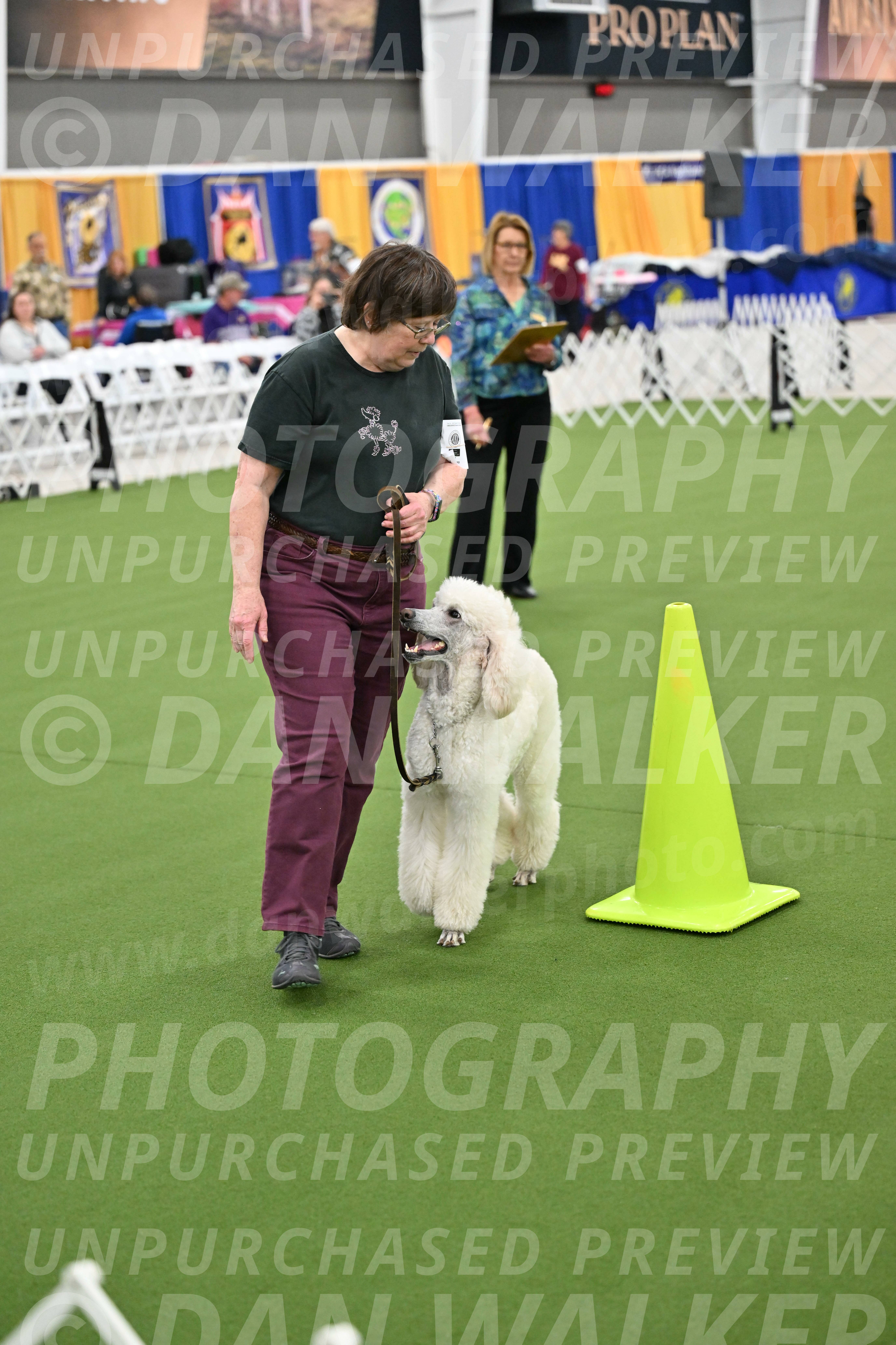 Ring-3-Morning-Obedience_0770