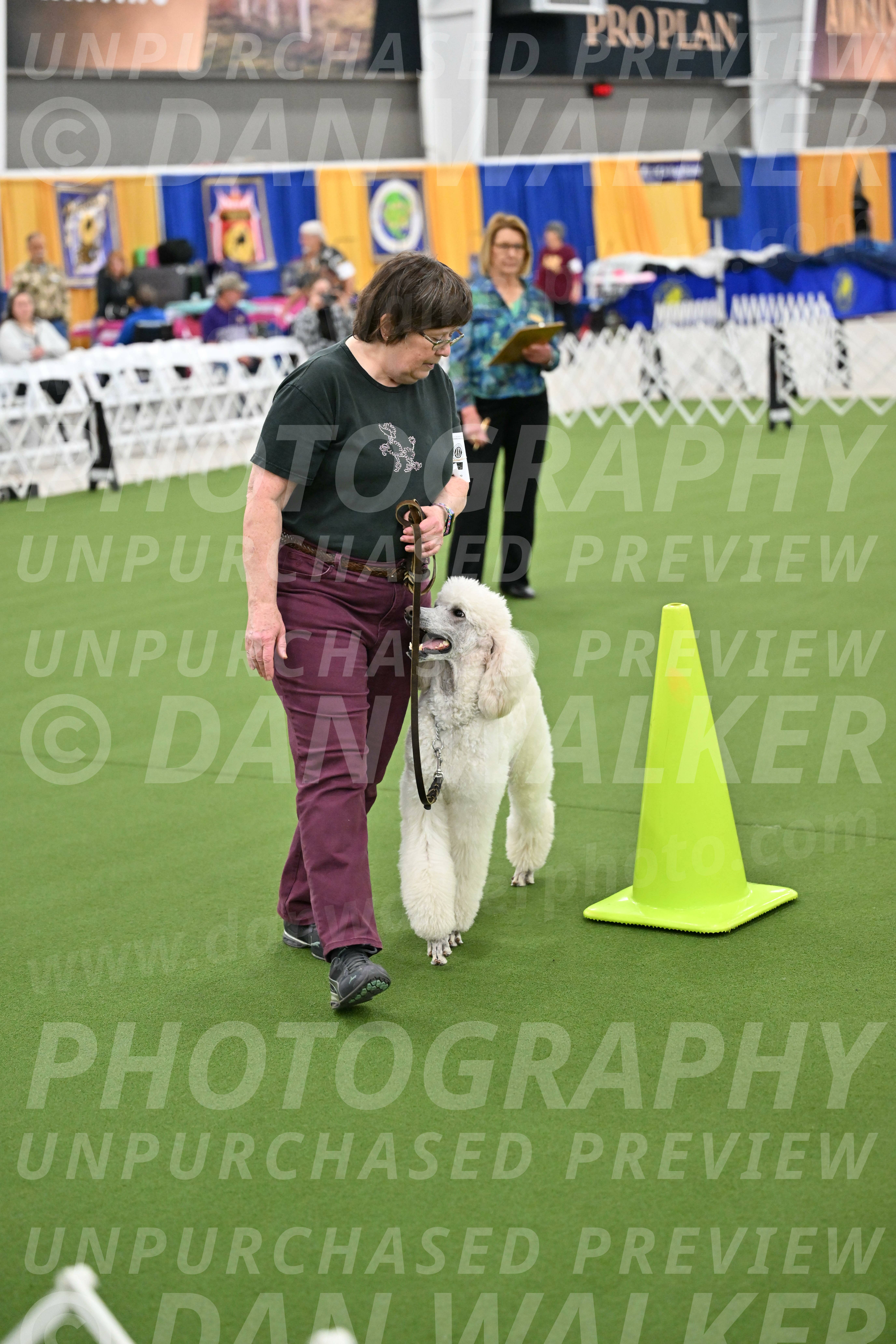 Ring-3-Morning-Obedience_0771