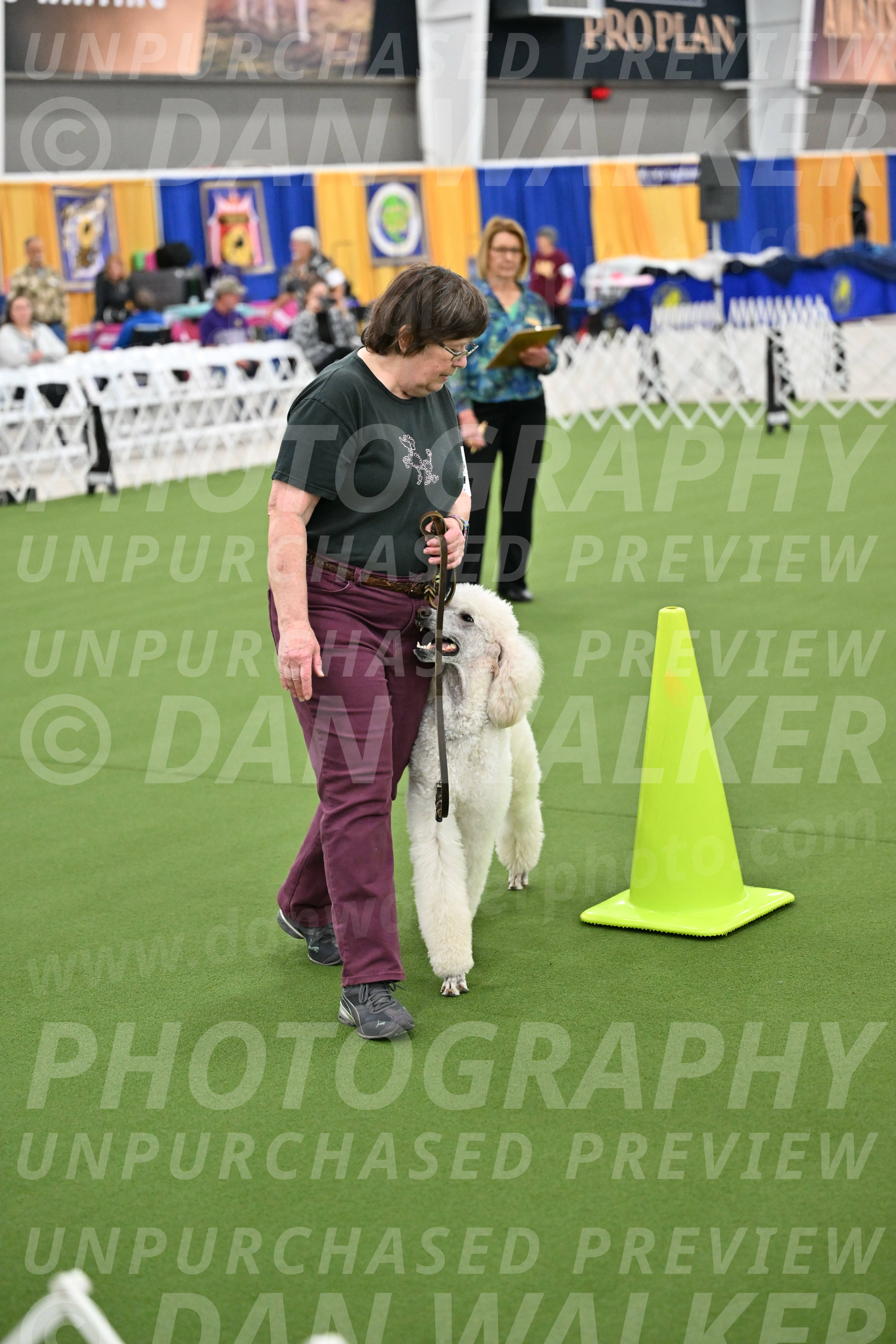 Ring-3-Morning-Obedience_0772