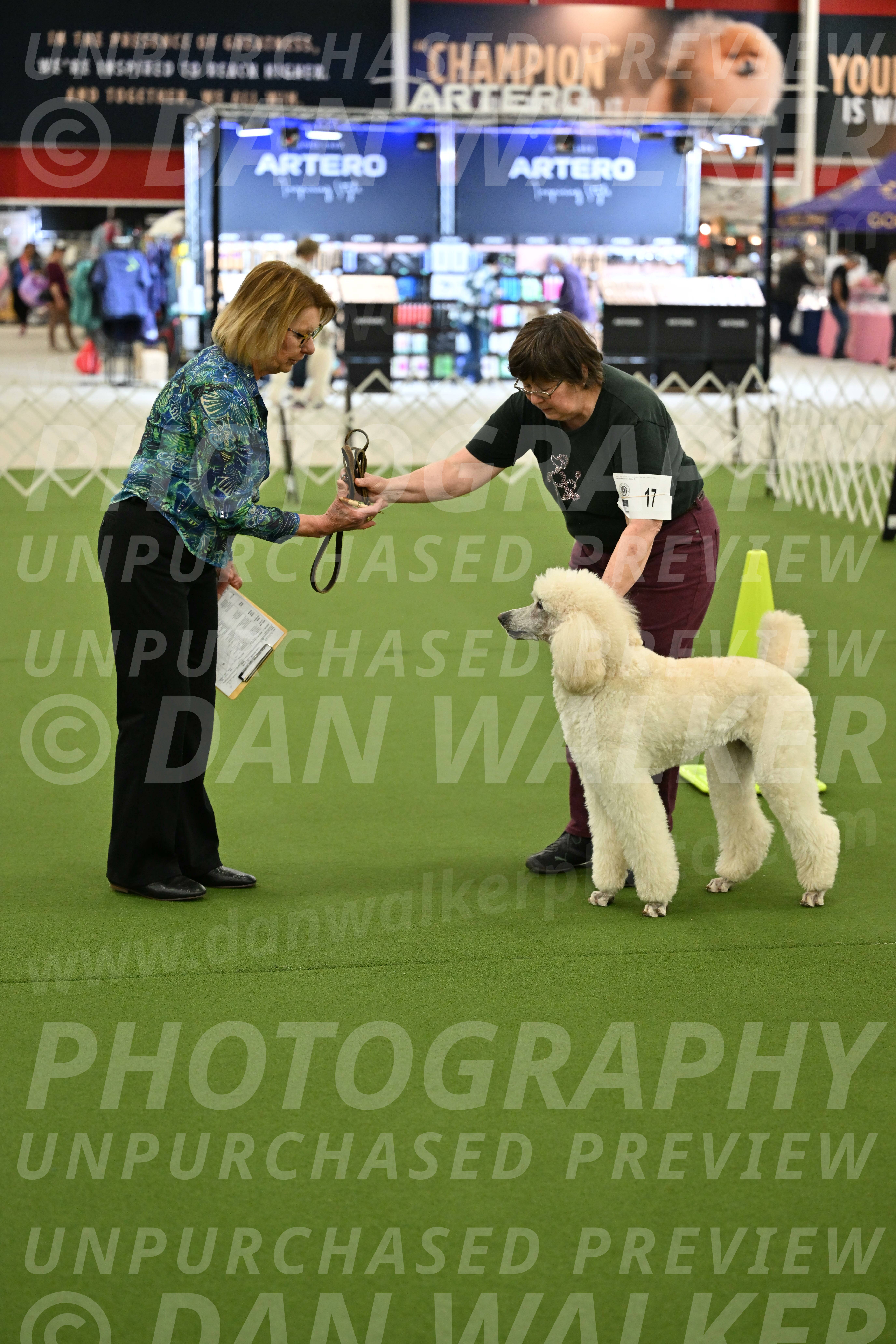 Ring-3-Morning-Obedience_0773