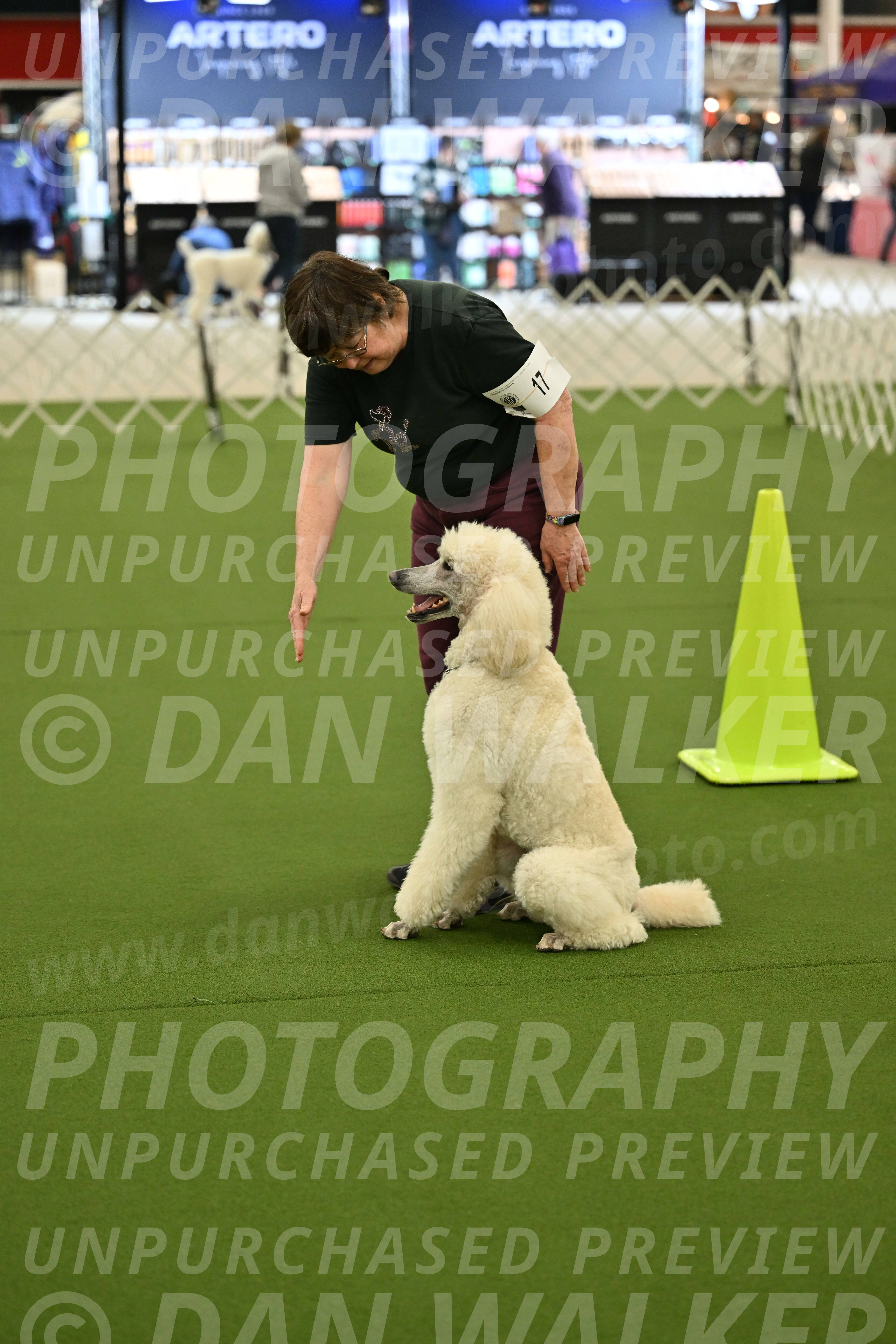 Ring-3-Morning-Obedience_0775