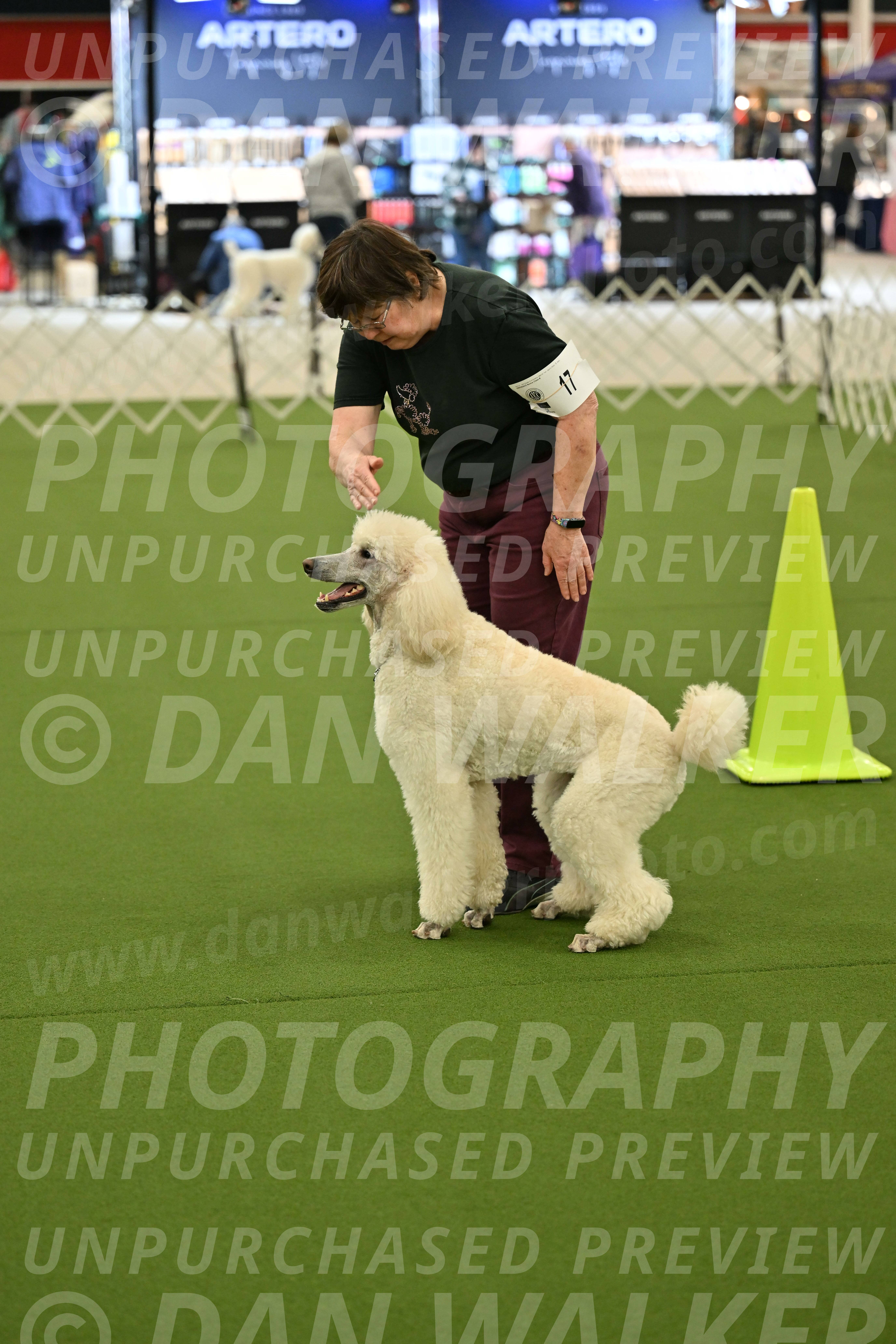 Ring-3-Morning-Obedience_0778