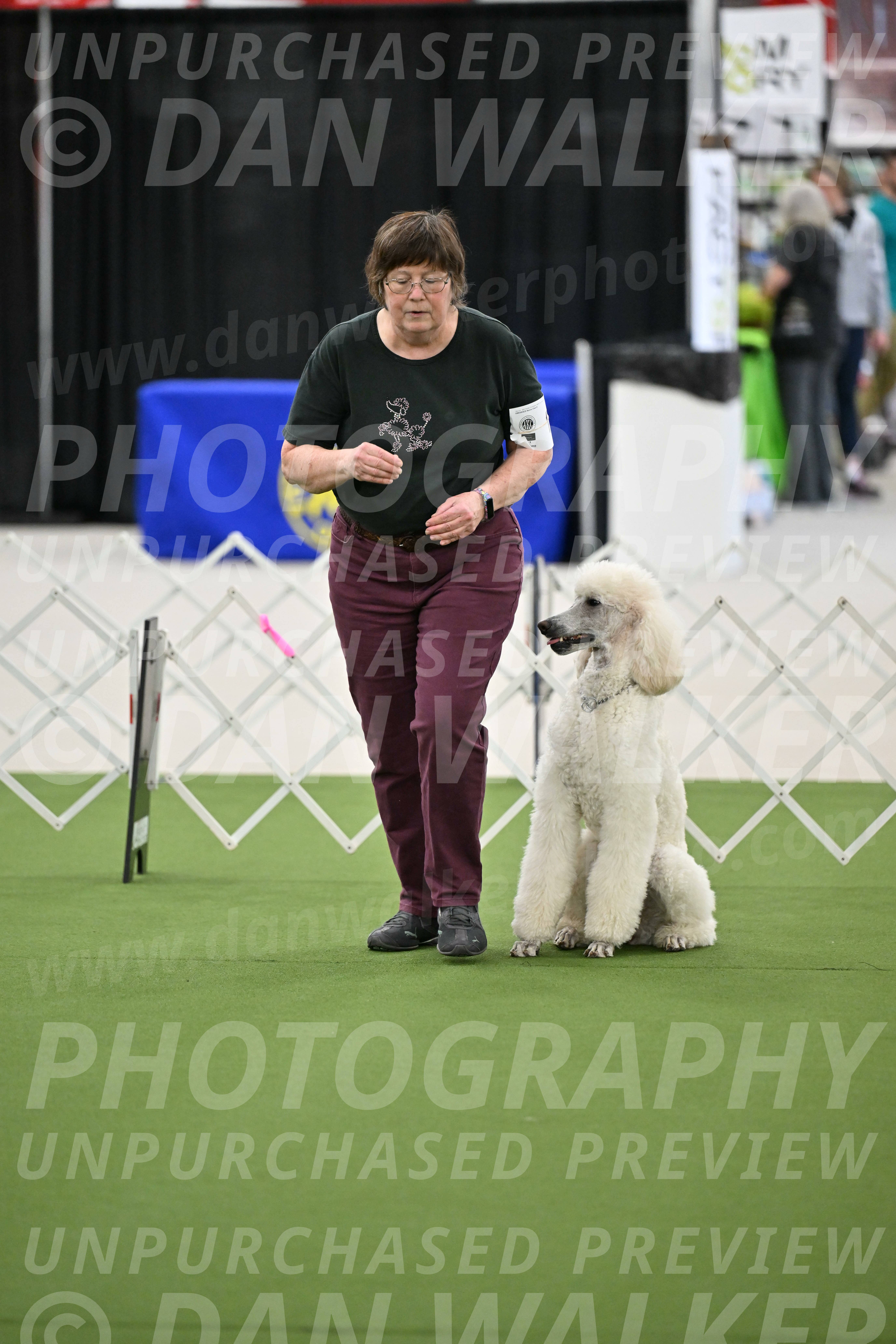 Ring-3-Morning-Obedience_0813
