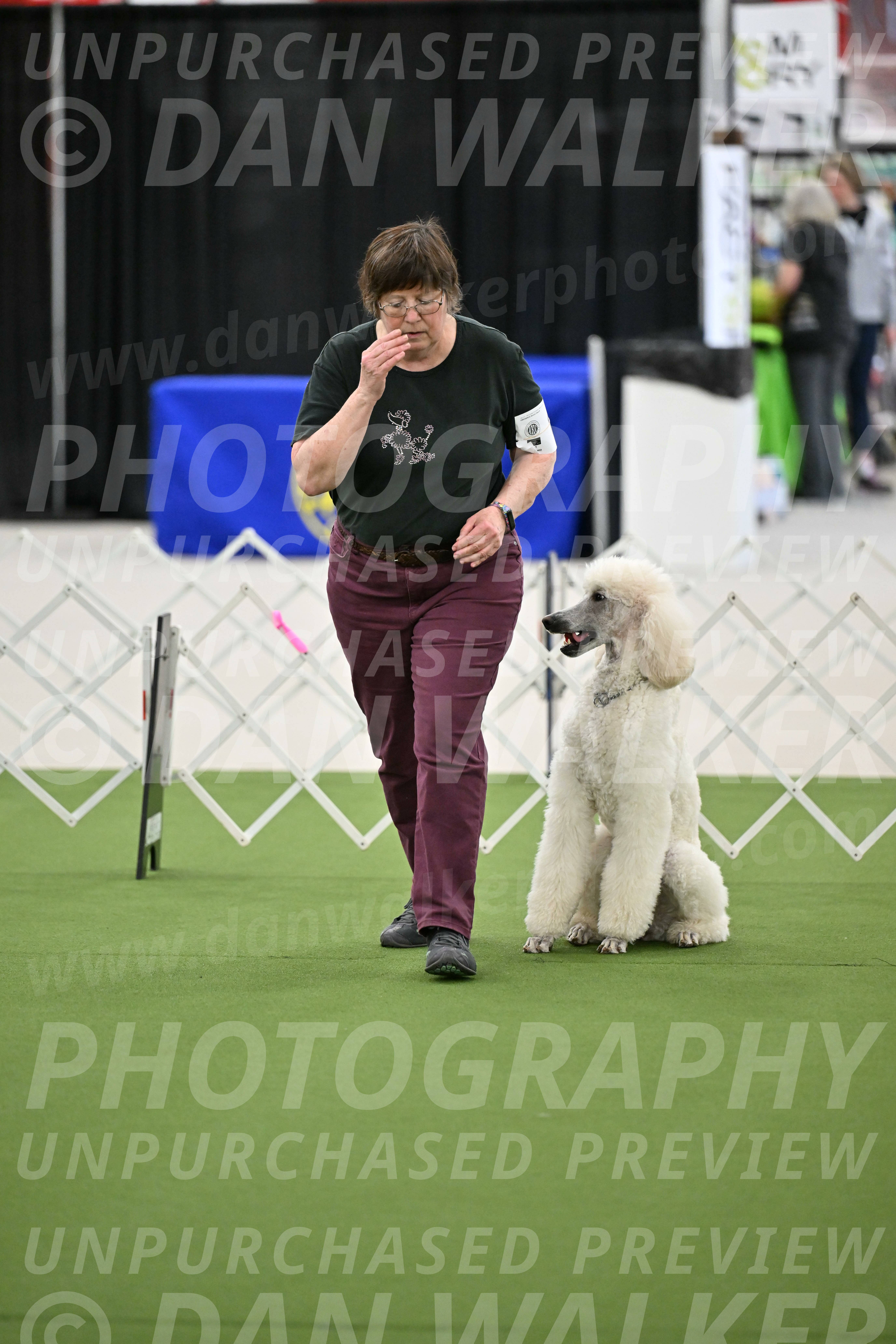 Ring-3-Morning-Obedience_0815