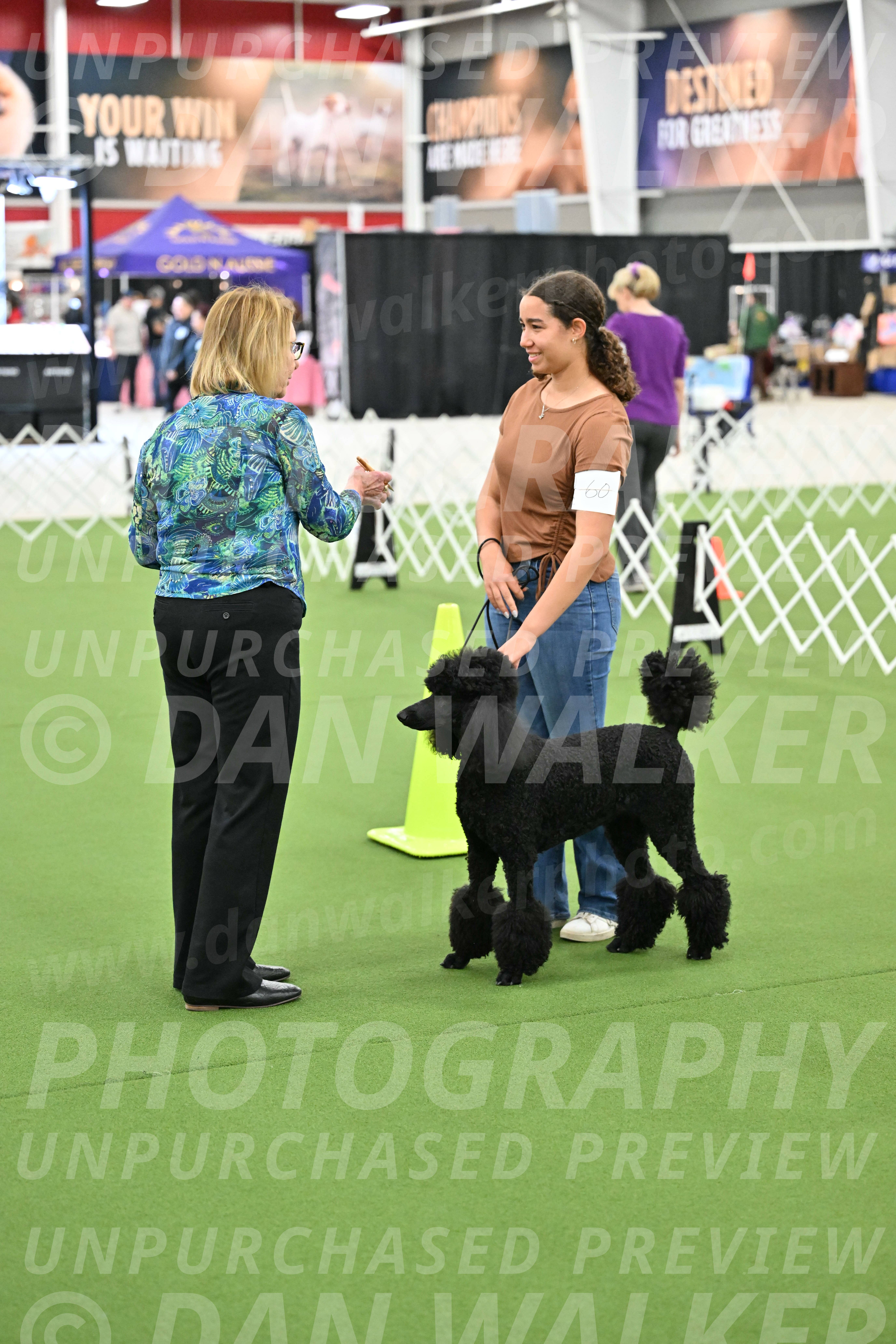 Ring-3-Morning-Obedience_0852