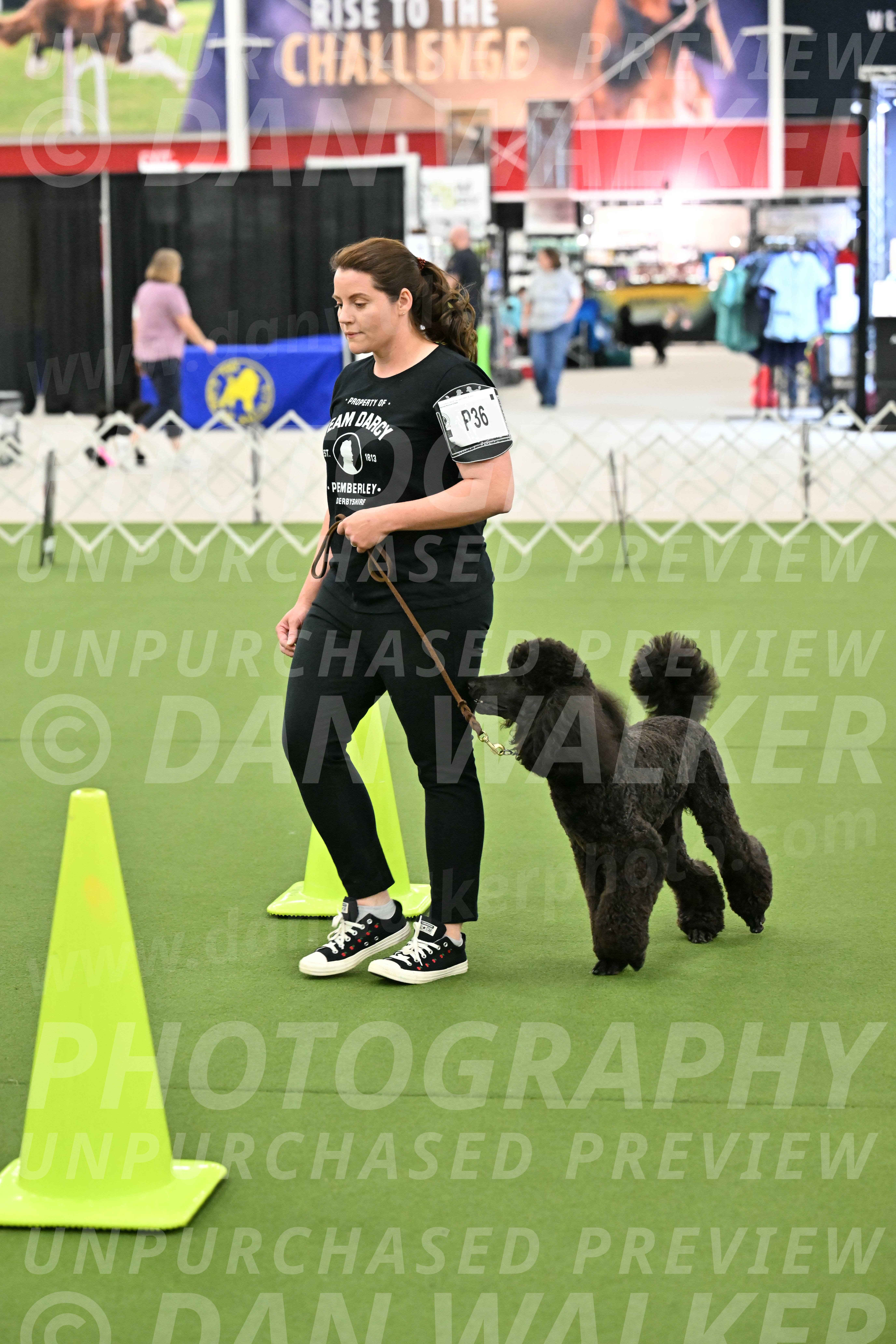 Ring-3-Morning-Obedience_1117
