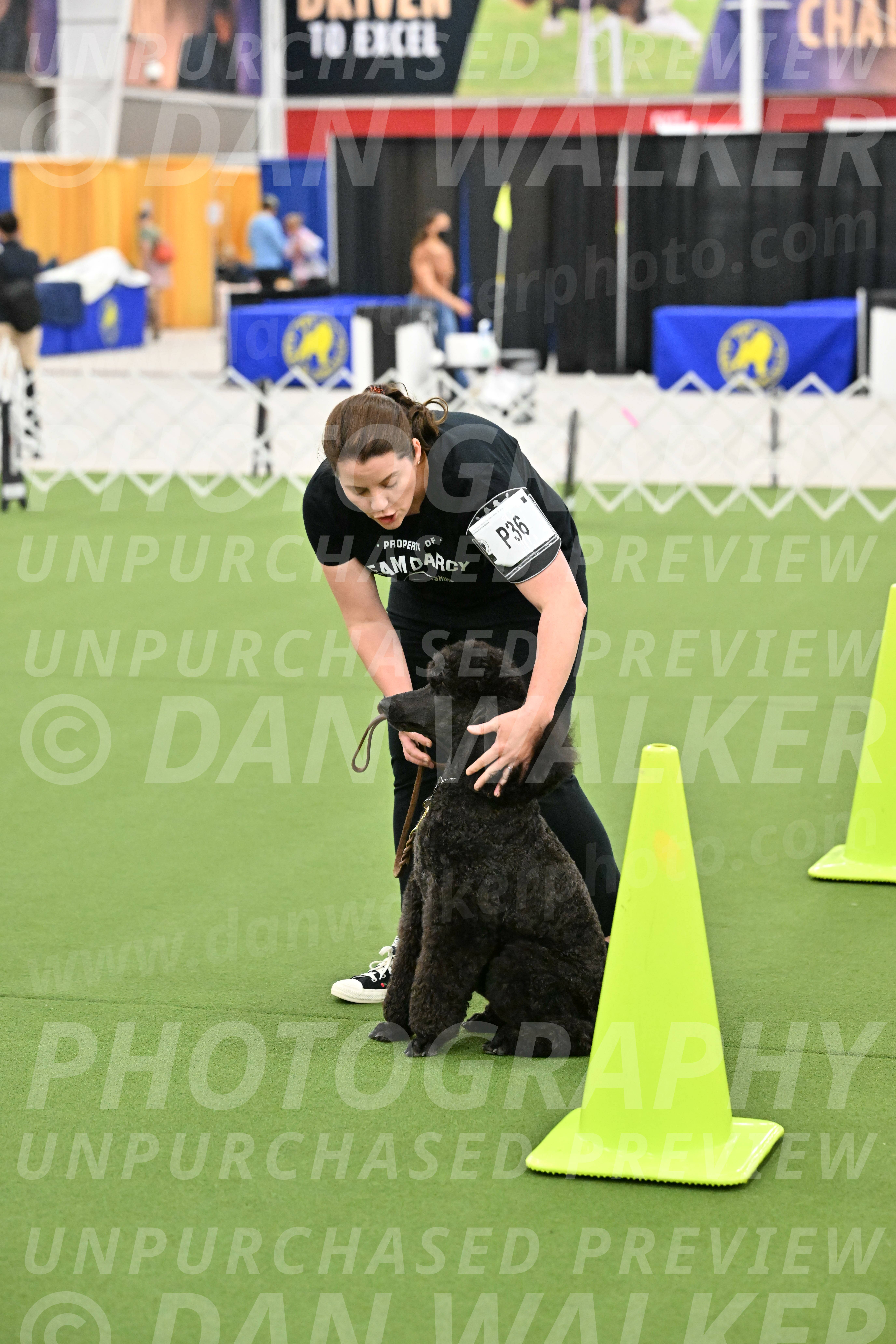 Ring-3-Morning-Obedience_1121