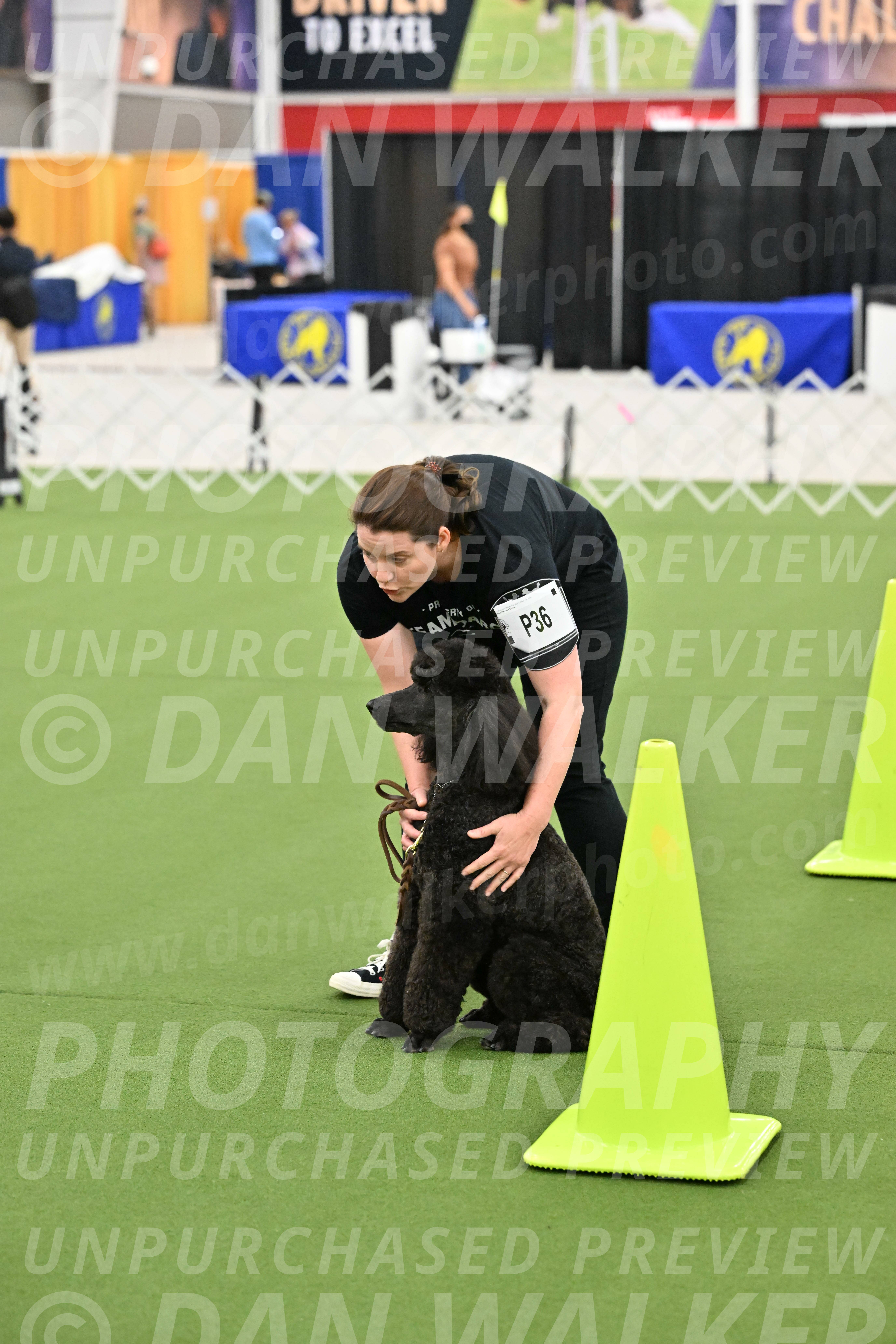 Ring-3-Morning-Obedience_1123