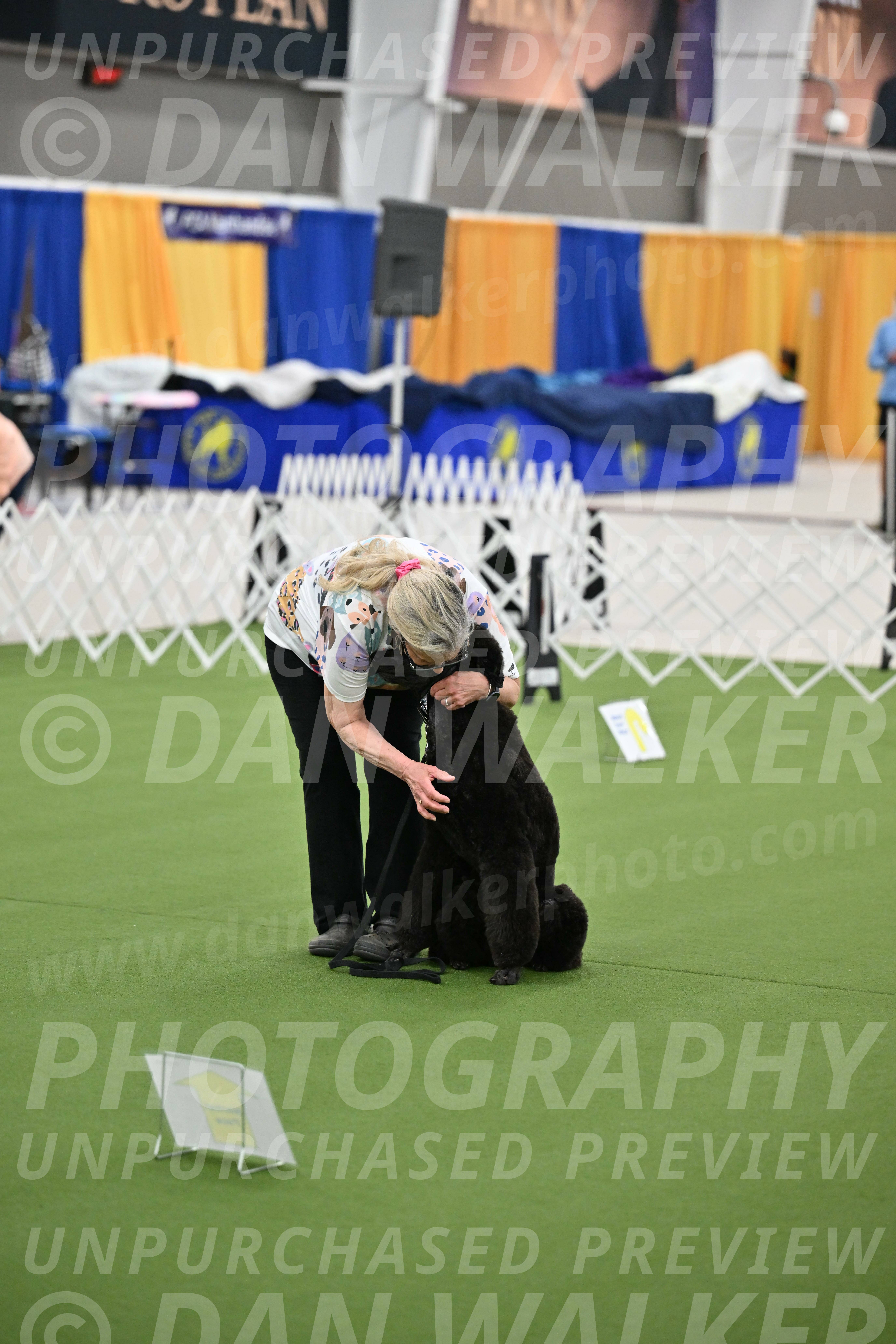 Ring-3-Morning-Obedience_1274