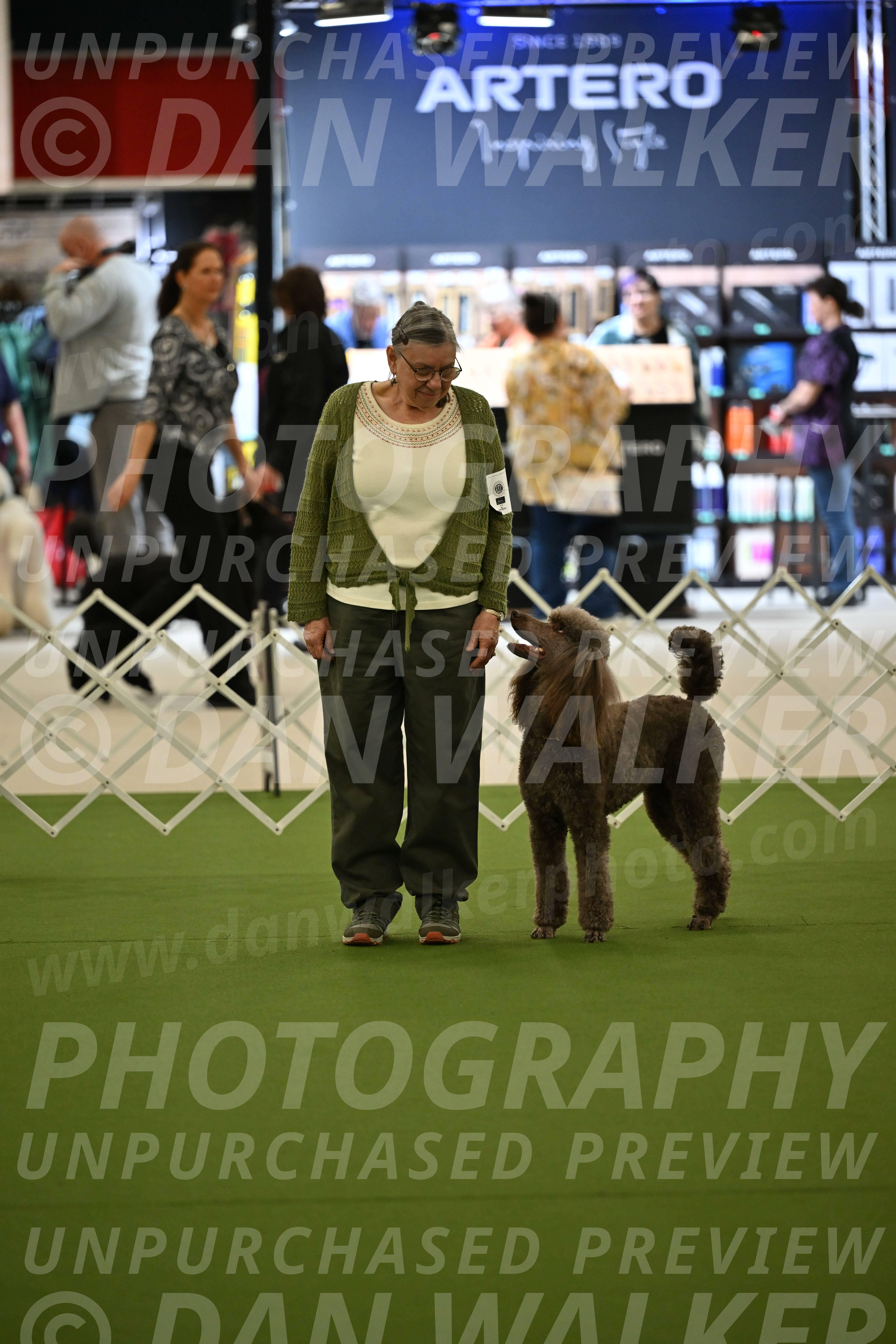 Ring-3-Morning-Obedience_1684
