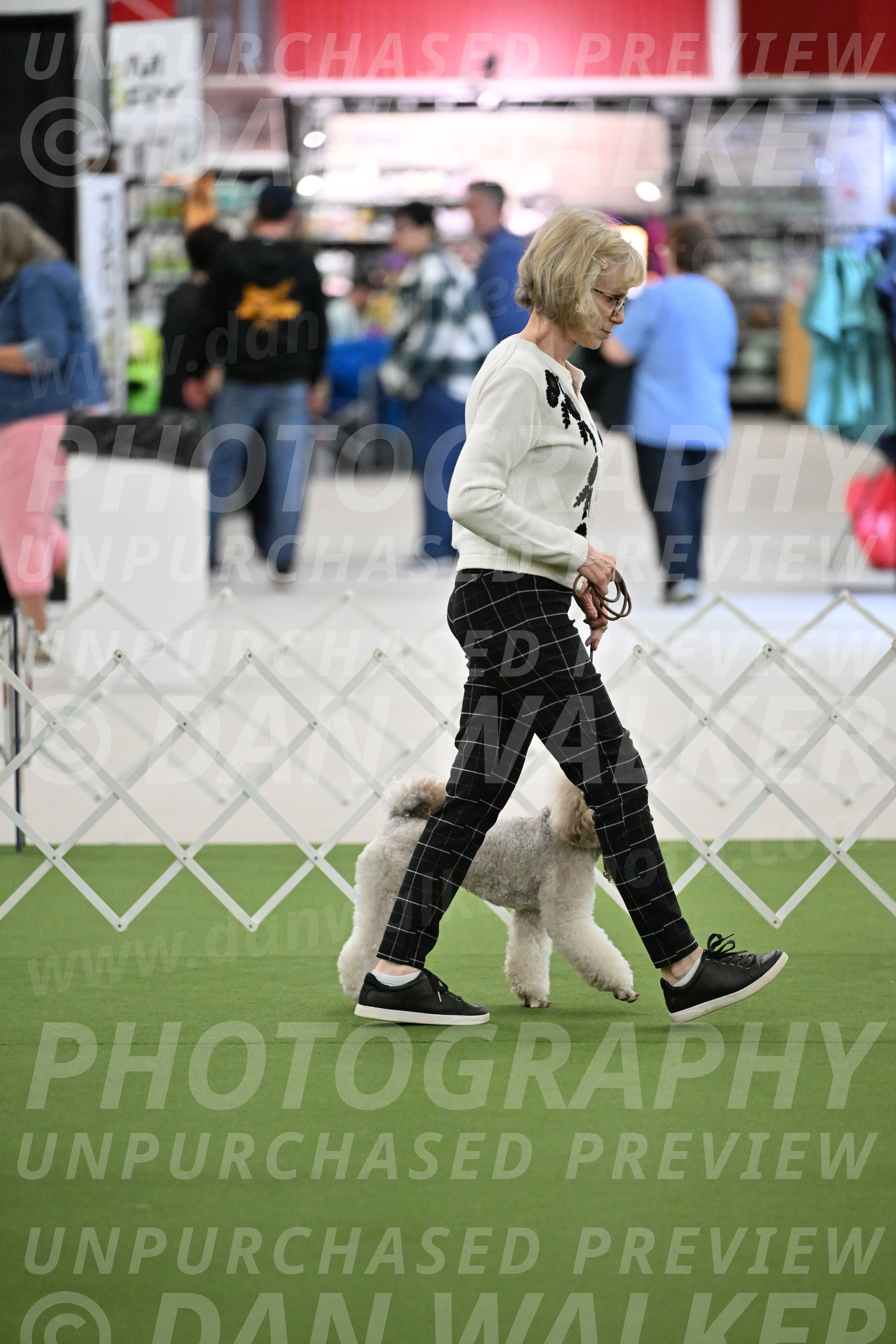 Ring-3-Morning-Obedience_1807