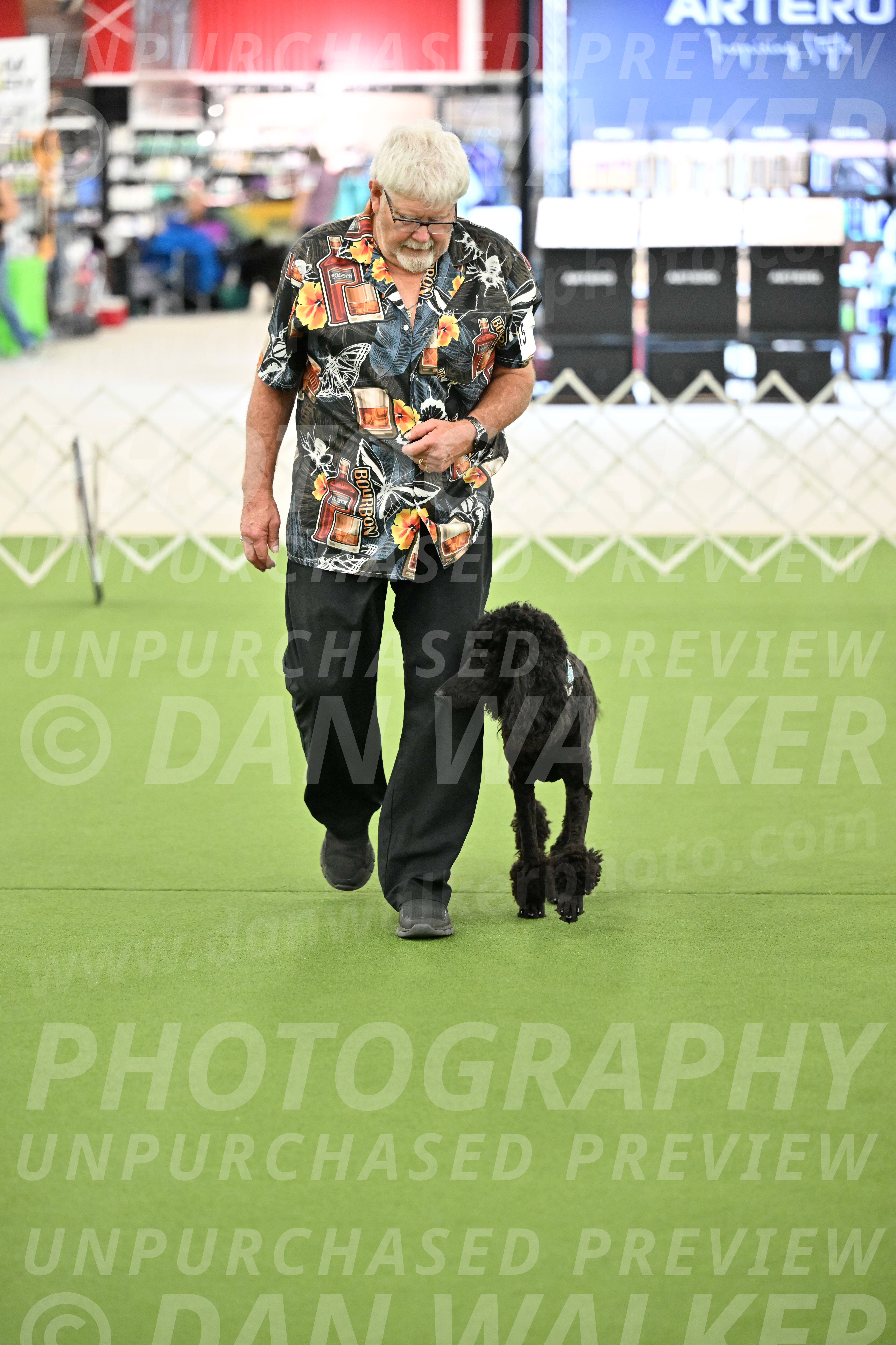 Ring-3-Morning-Obedience_1927