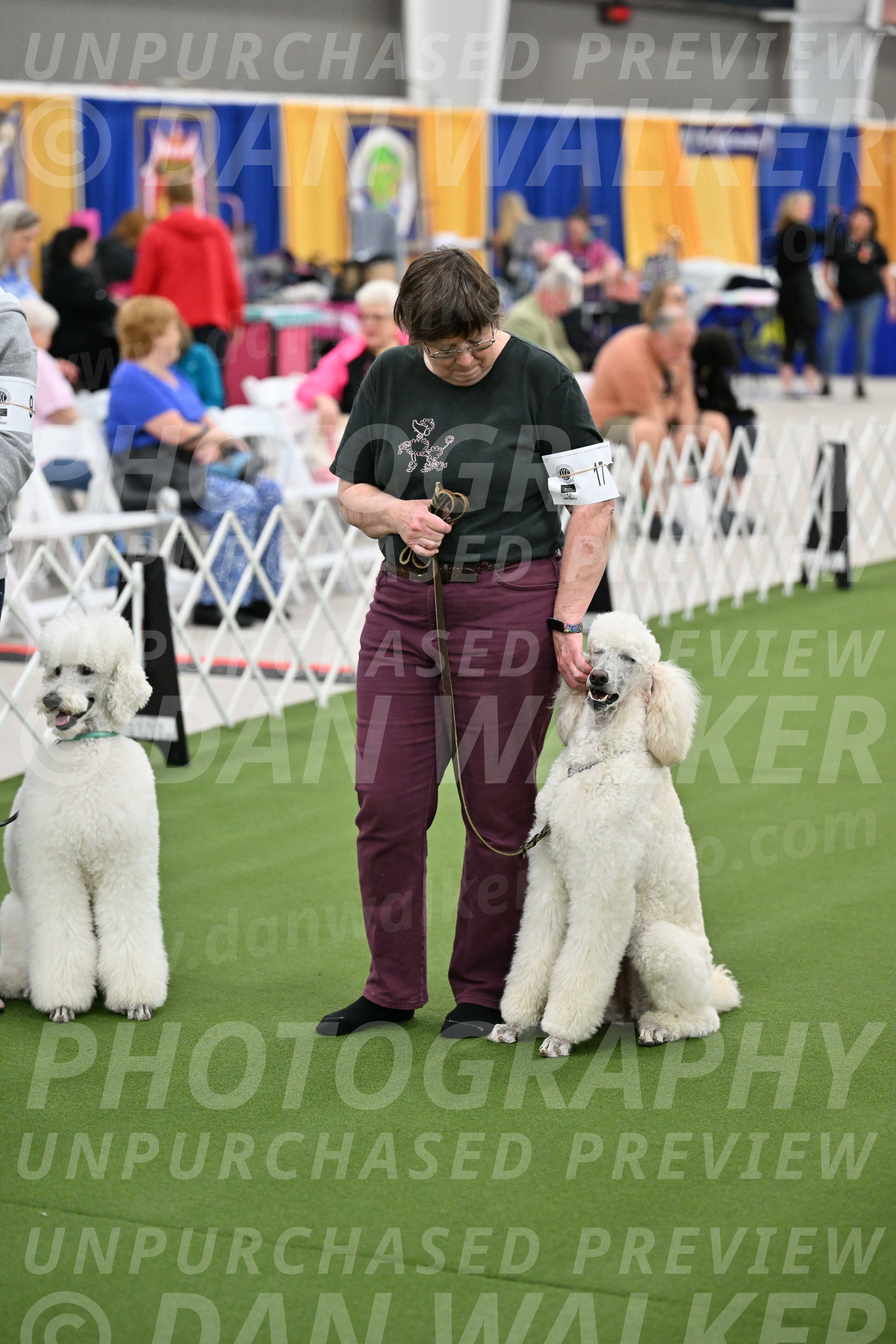 Ring-3-Morning-Obedience_2000