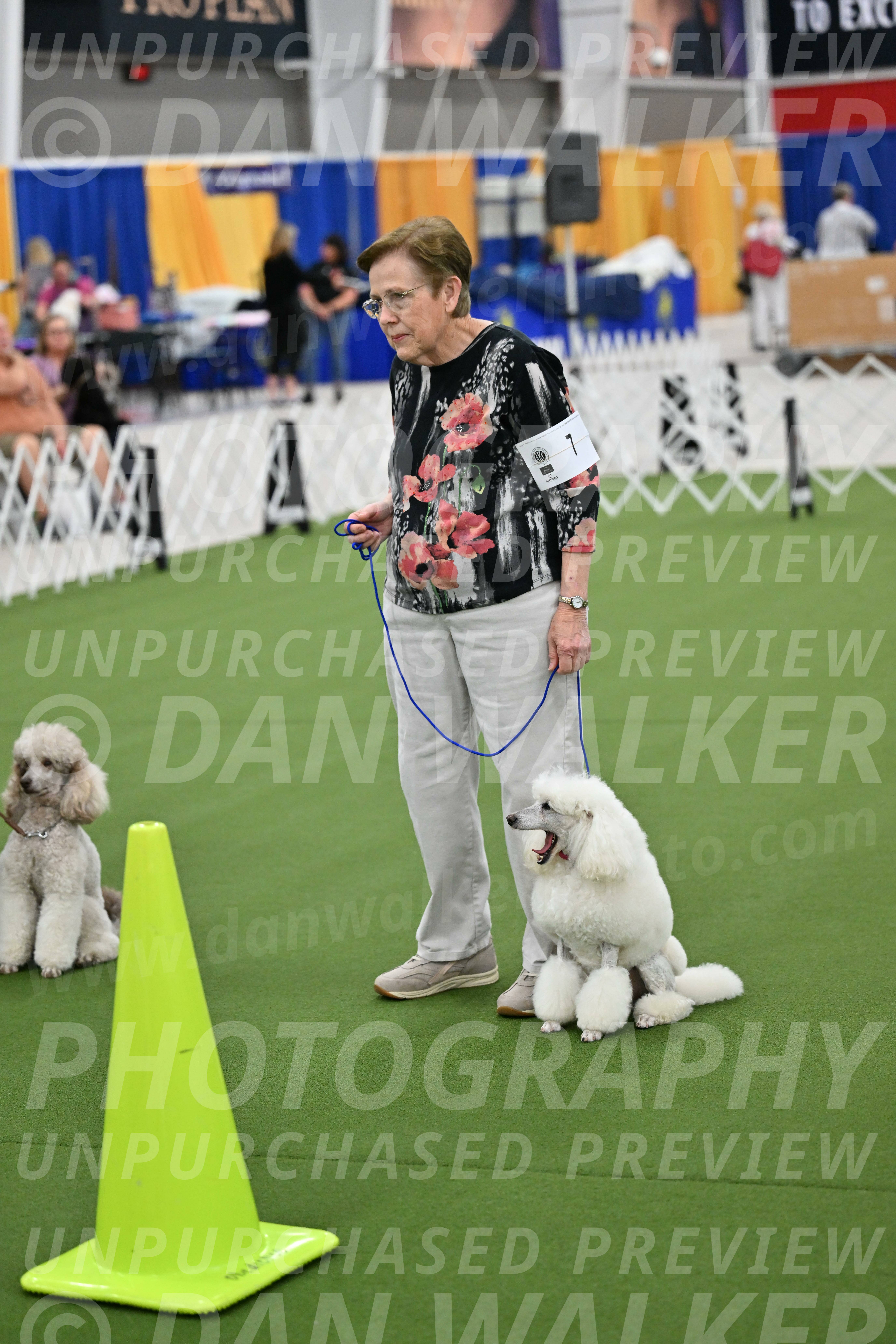 Ring-3-Morning-Obedience_2001