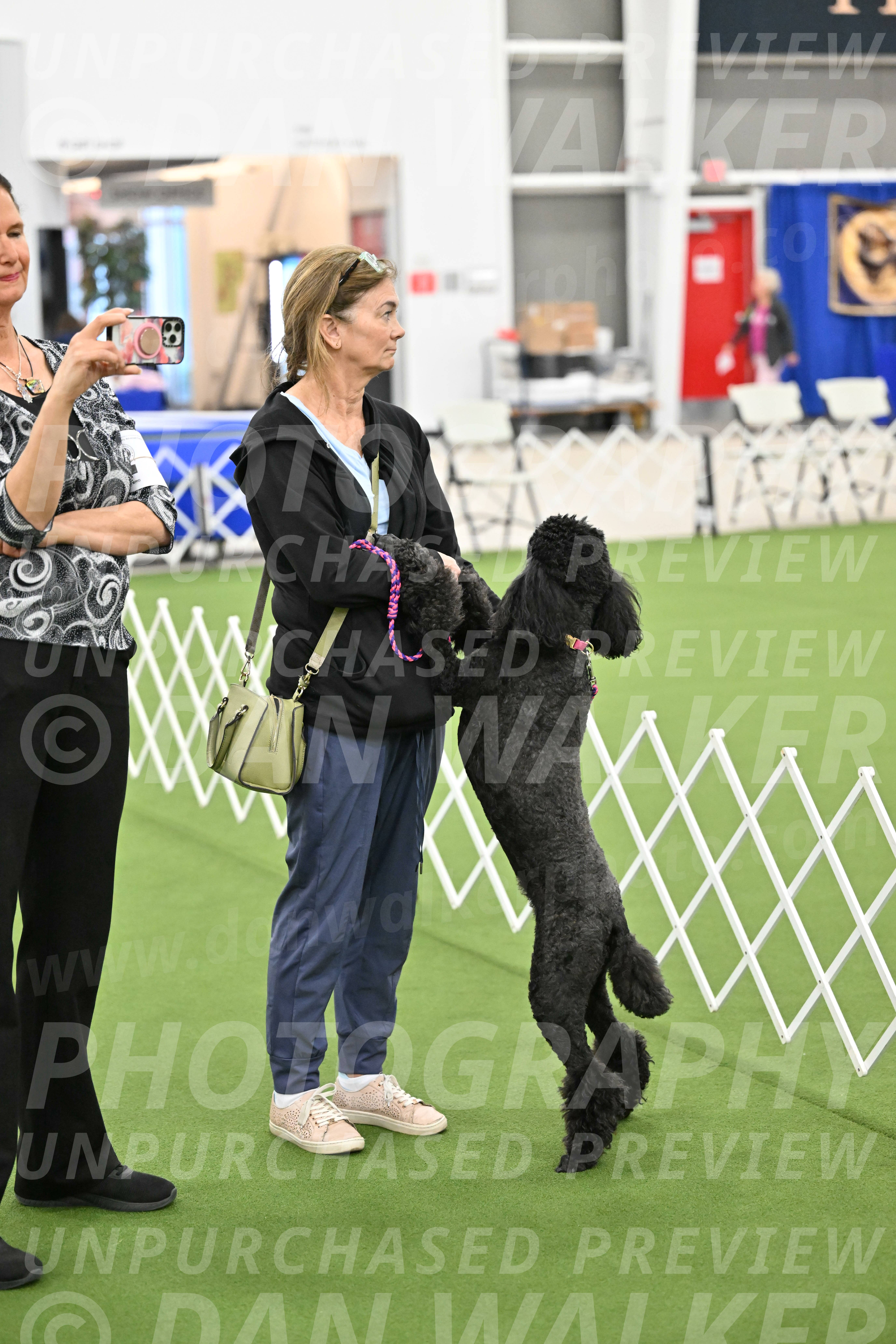 Ring-3-Morning-Obedience_2003