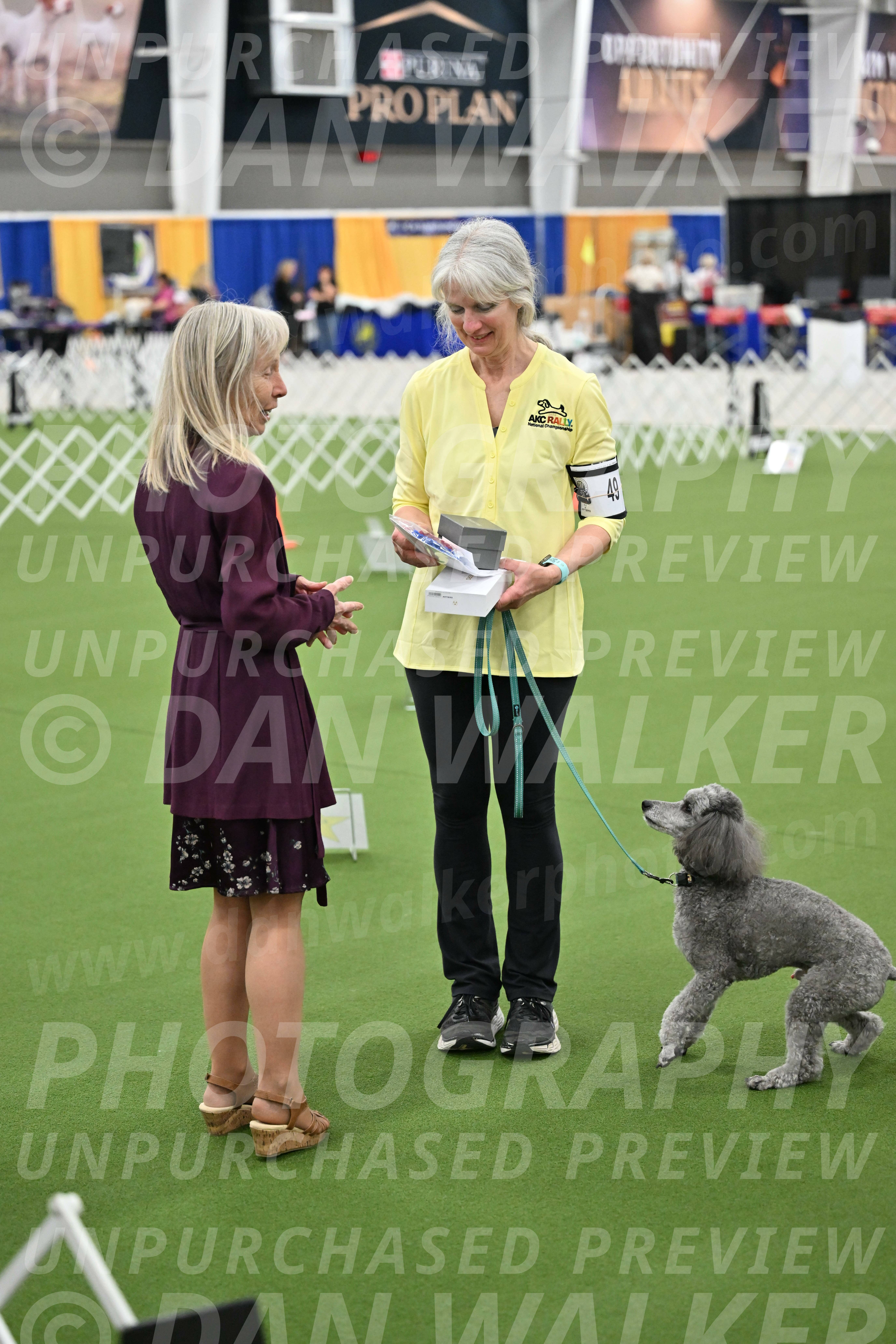 Ring-3-Morning-Obedience_2015