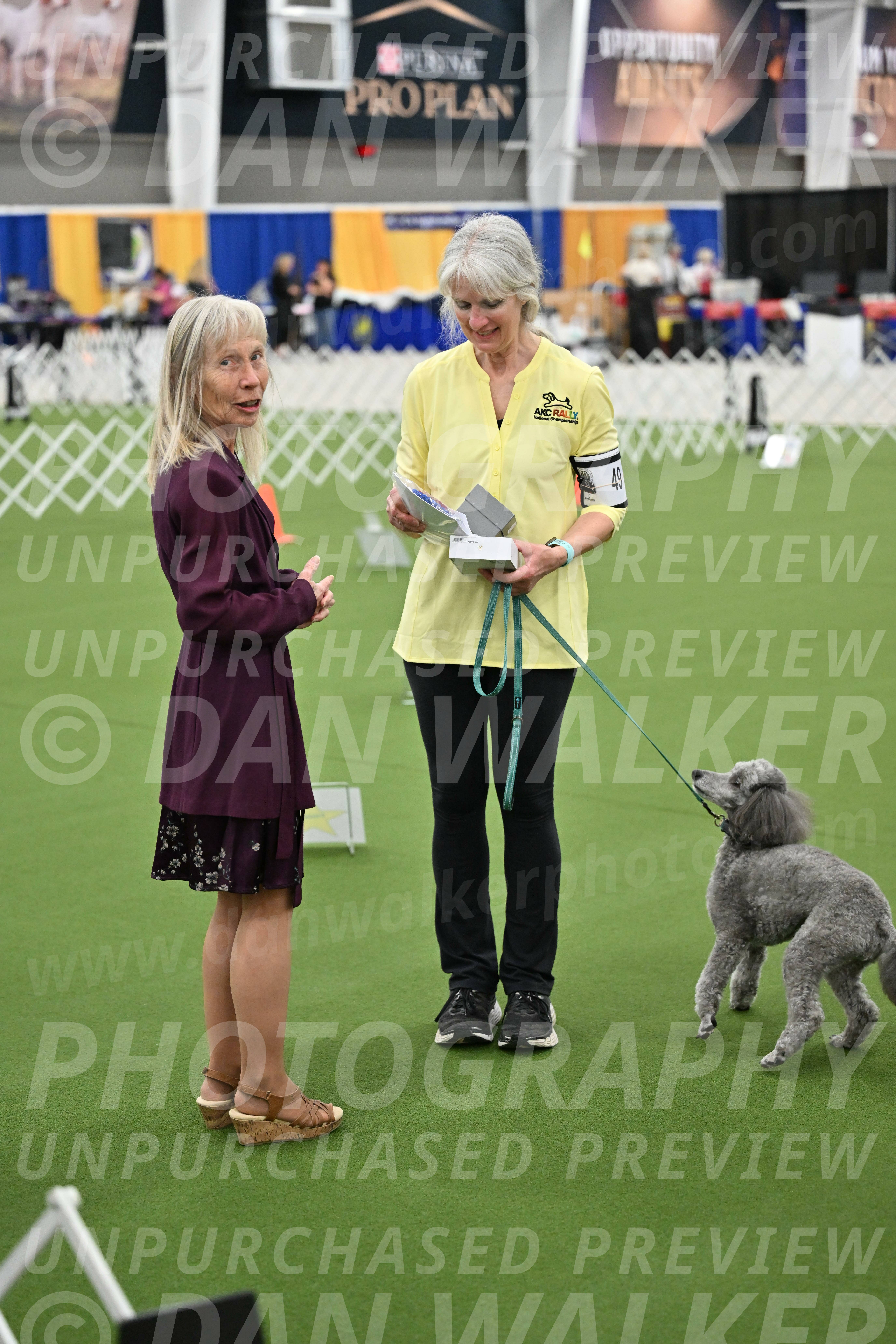 Ring-3-Morning-Obedience_2017