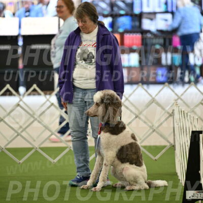 Parade-of-Rescues_2037