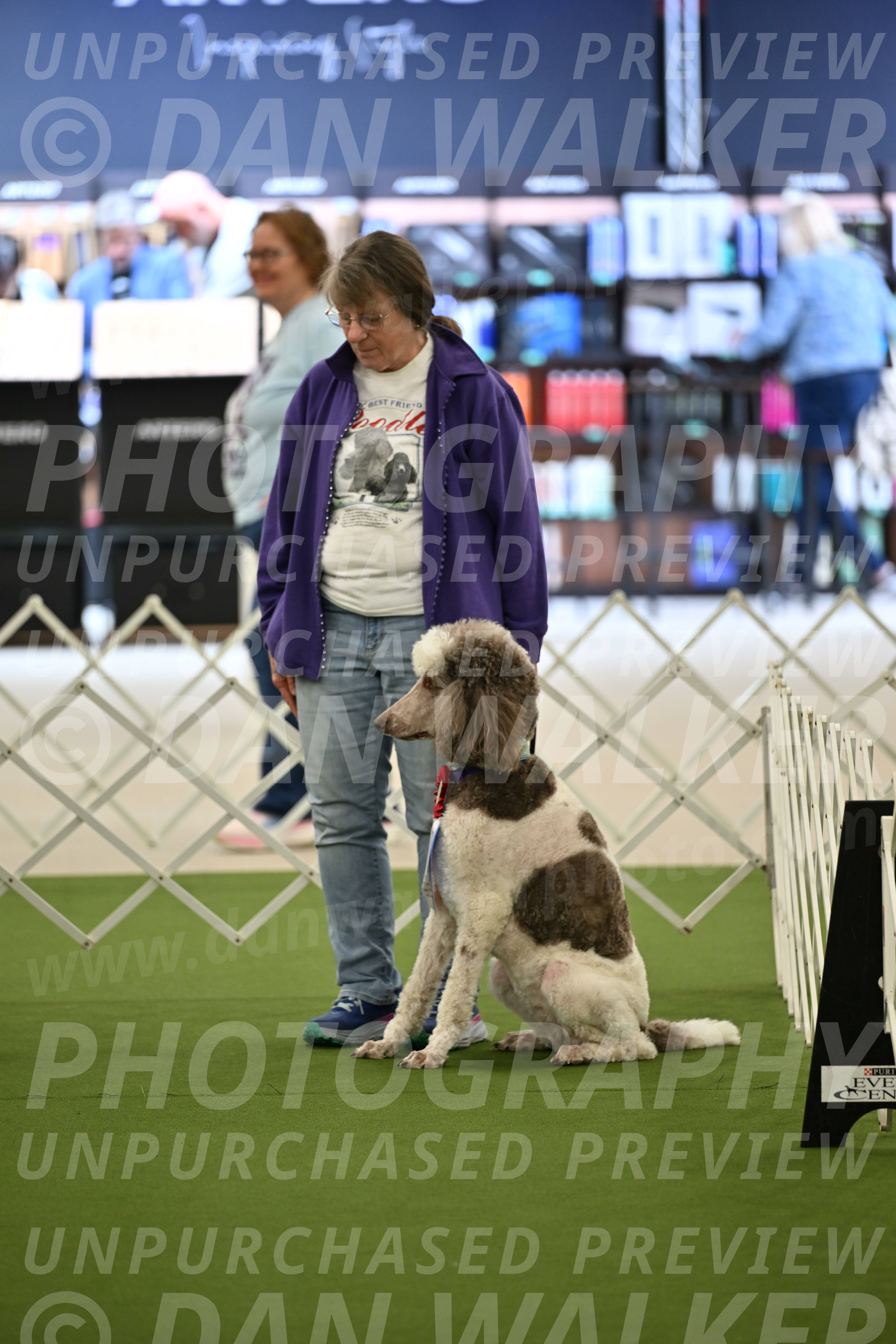 Parade-of-Rescues_2037