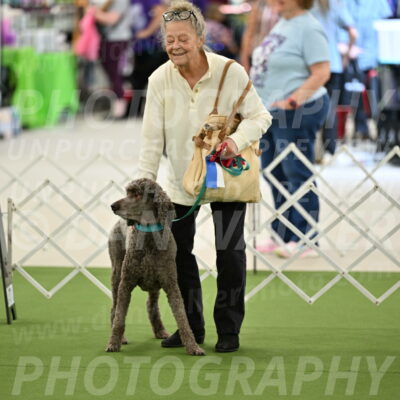 Parade-of-Rescues_2038